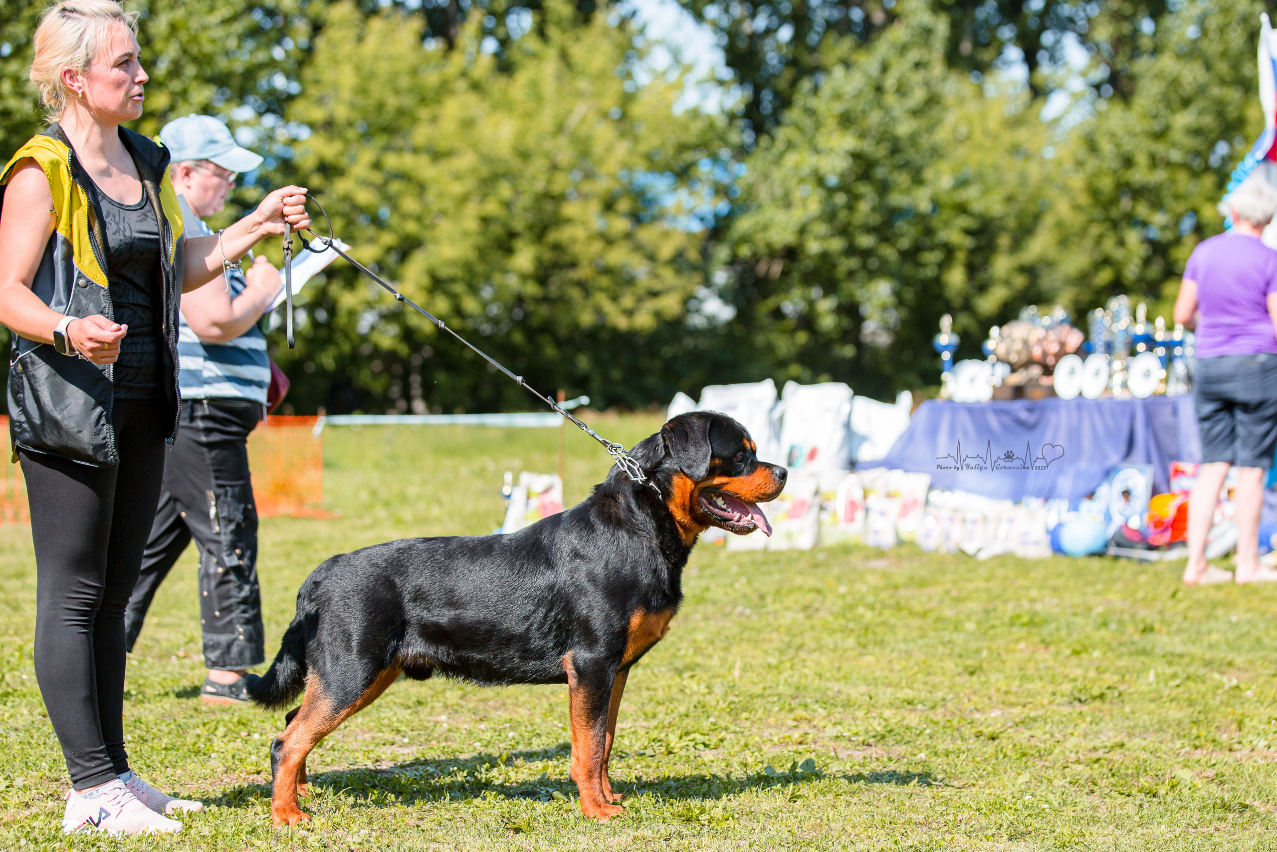 Санкт-Петербург моно ротвейлеров 23.07.2022. Фотограф-анималист Юлия Германика