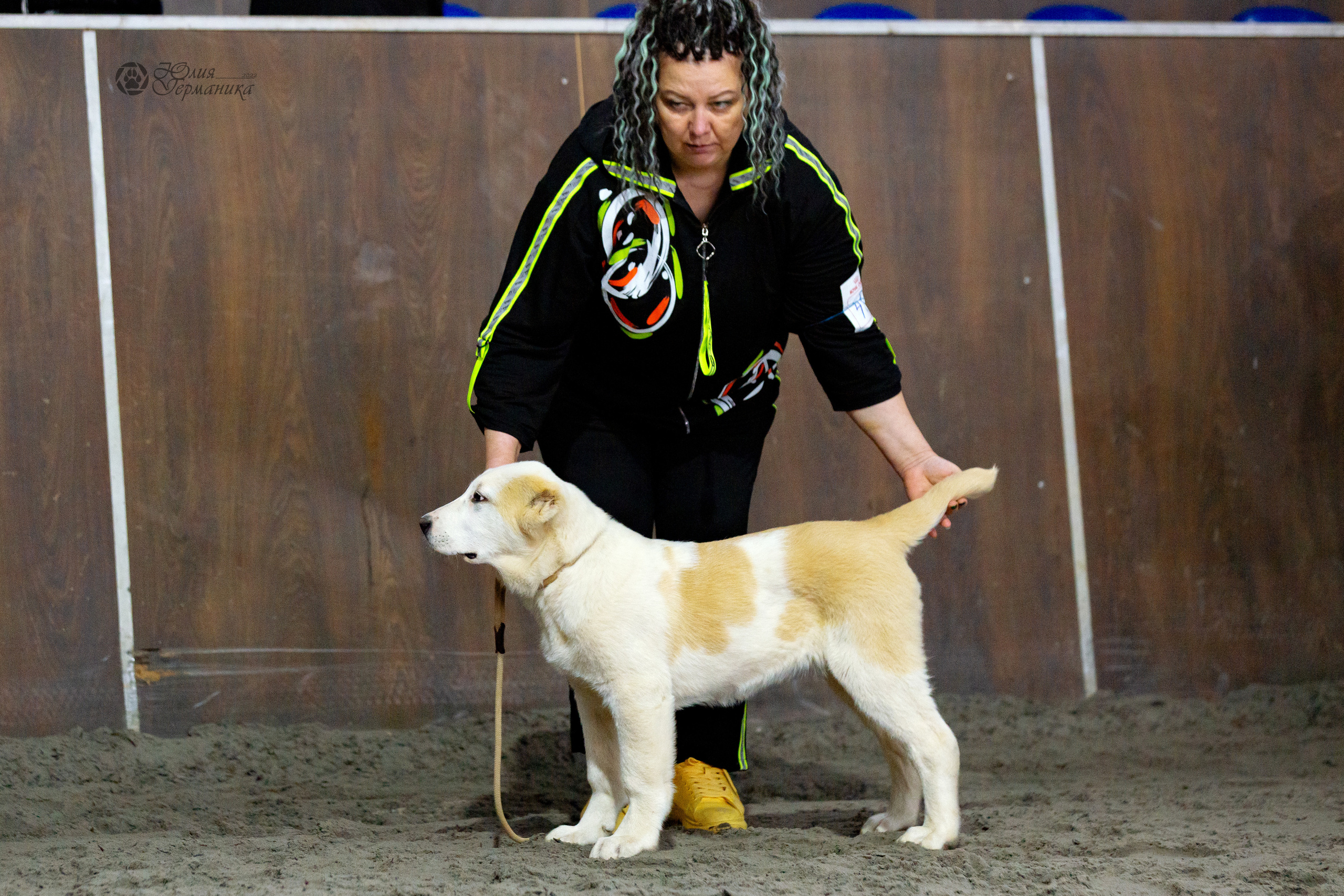 Националка САО+КЧК 24 апреля 2022. Фотограф-анималист Юлия Германика