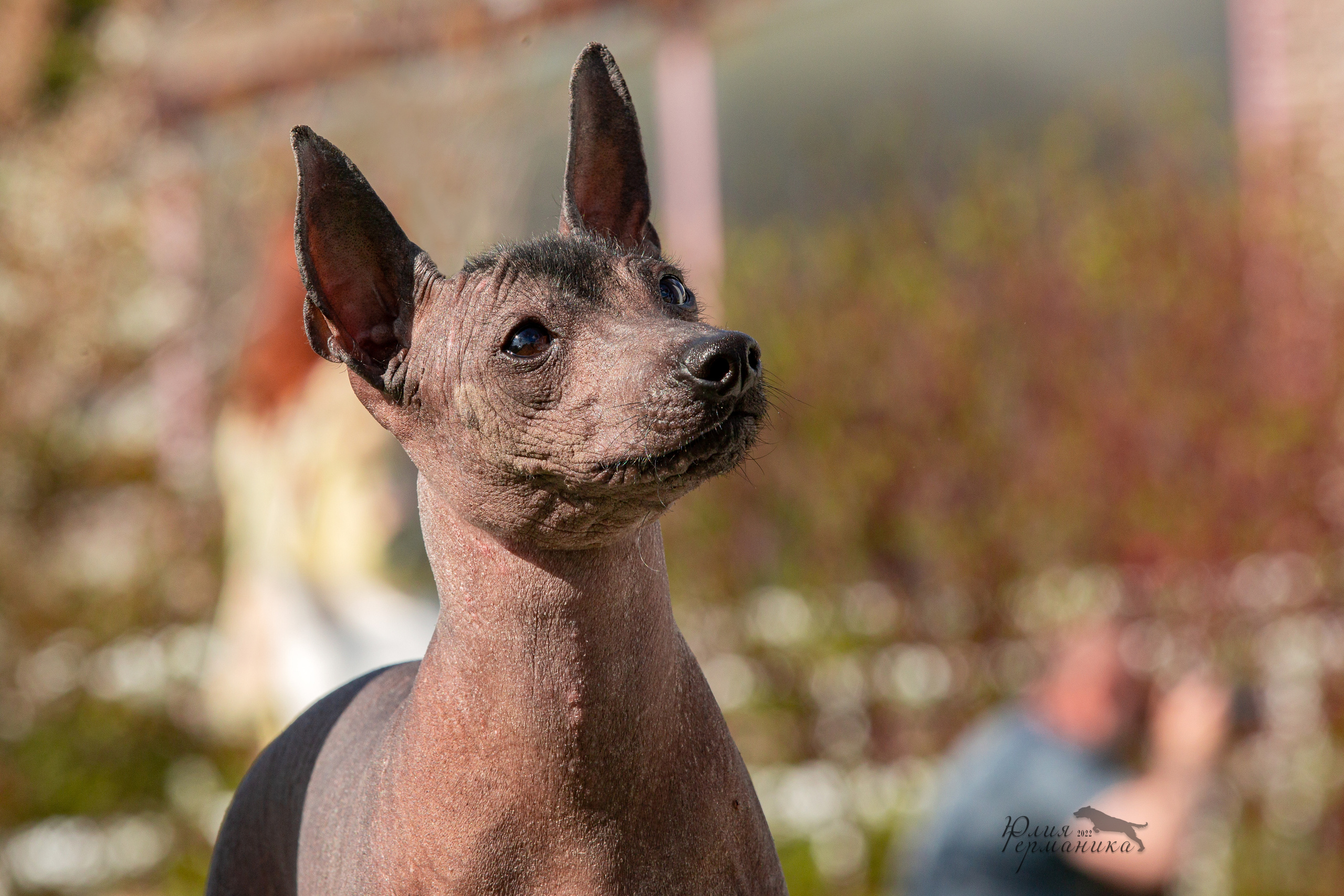 Евразия 21-22 мая 2022. Фотограф-анималист Юлия Германика