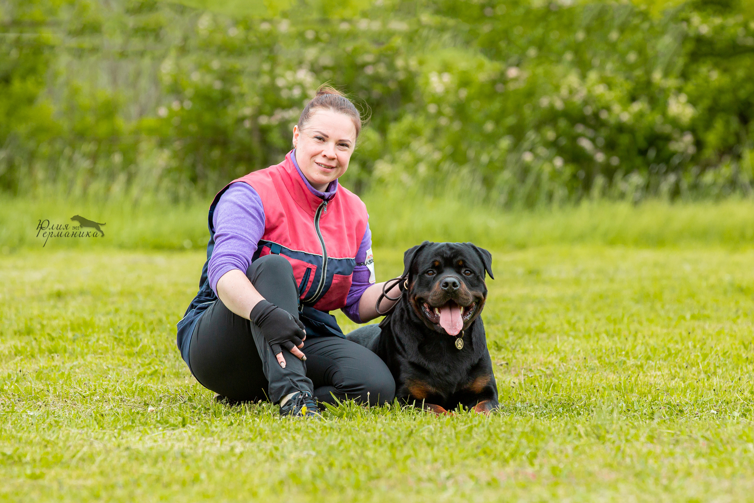 Воронеж моно ротвейлеров 28-29 мая 2022. Фотограф-анималист Юлия Германика