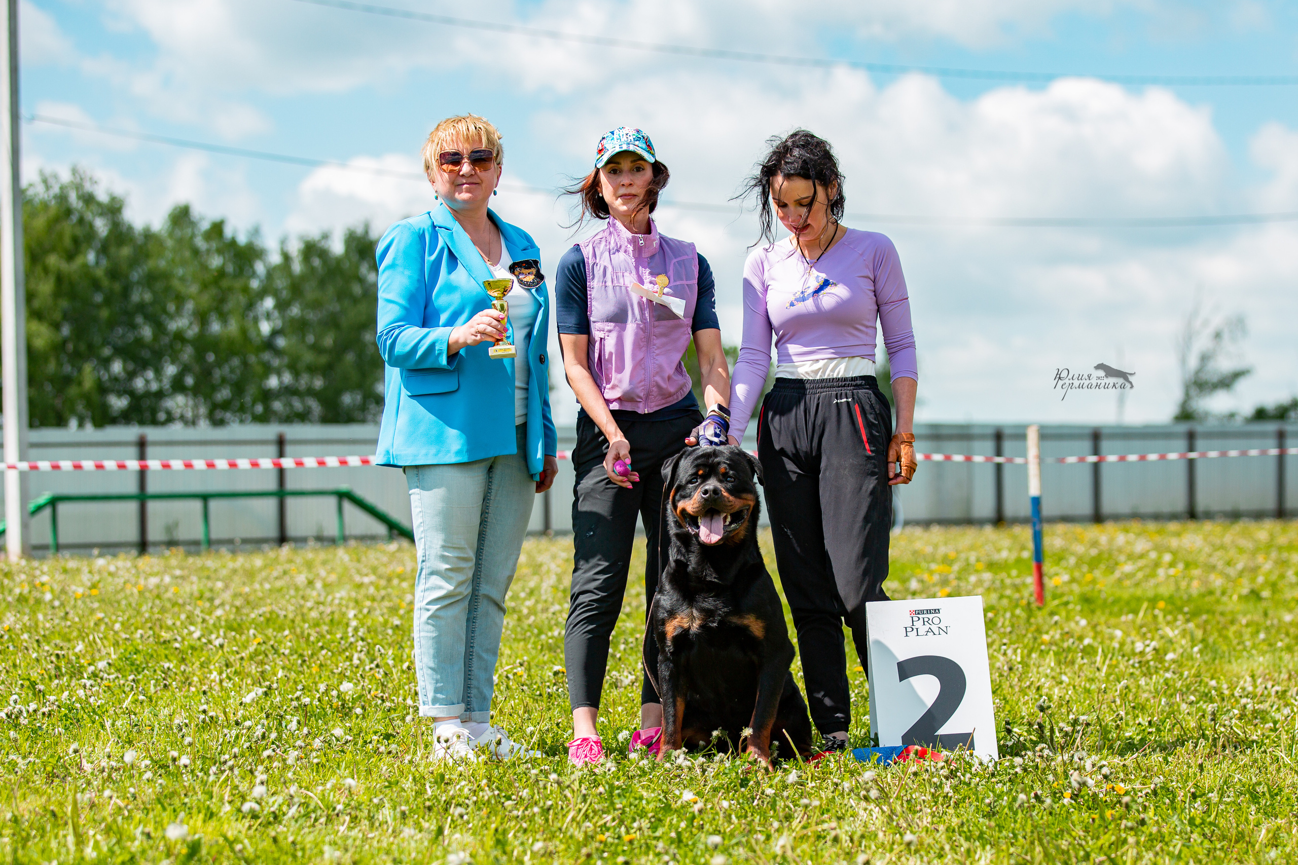 Нижний Новгород моно ротвейлеров 4 июня 2022. Фотограф-анималист Юлия Германика