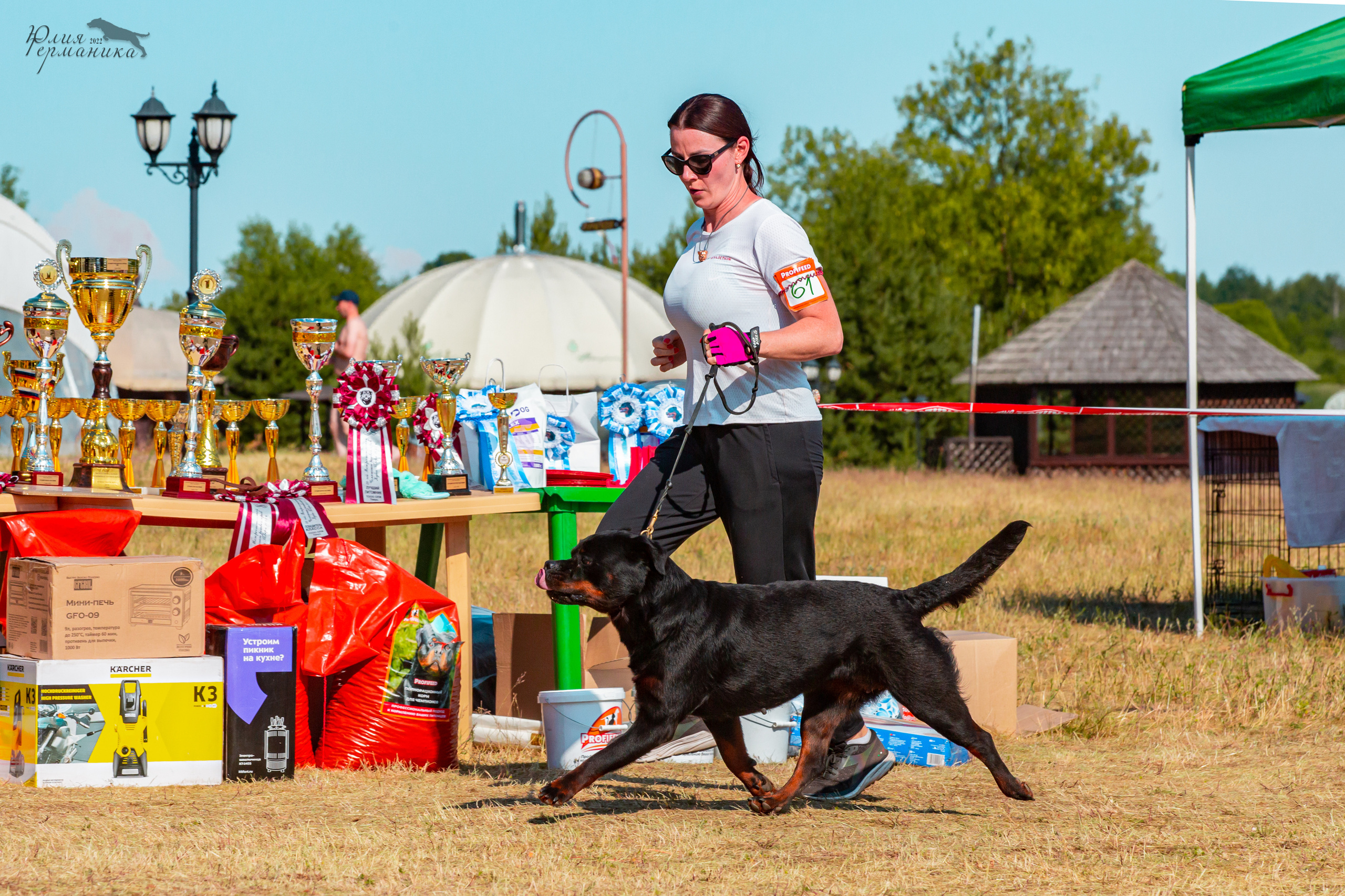 Тверь моно ротвейлеров 2-3.07.2022. Фотограф-анималист Юлия Германика