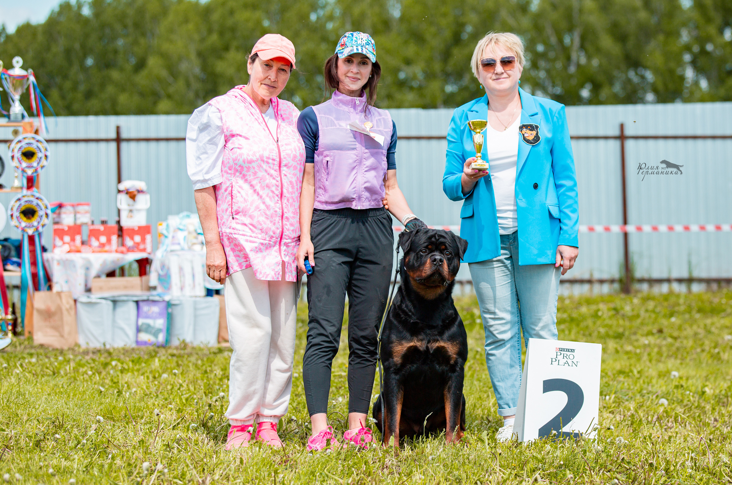 Нижний Новгород моно ротвейлеров 4 июня 2022. Фотограф-анималист Юлия Германика