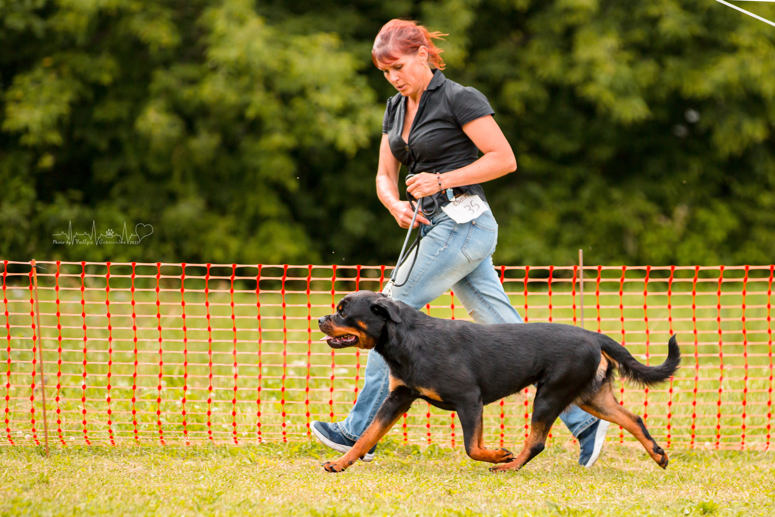 Санкт-Петербург моно ротвейлеров 23.07.2022. Фотограф-анималист Юлия Германика