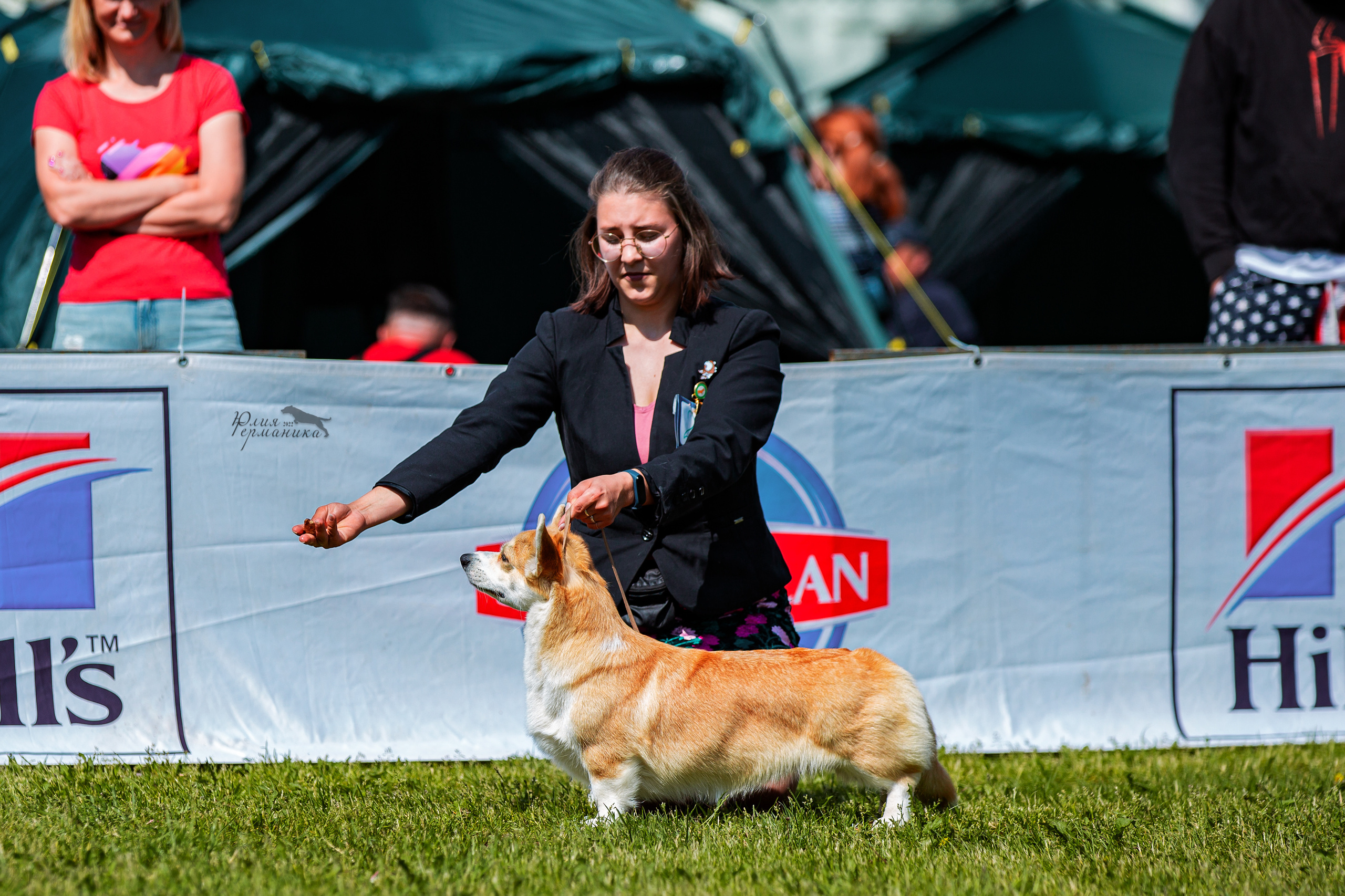 Смоленск 12.06,   Ховрино 13.06,    Питер 18.06 2022. Фотограф-анималист Юлия Германика