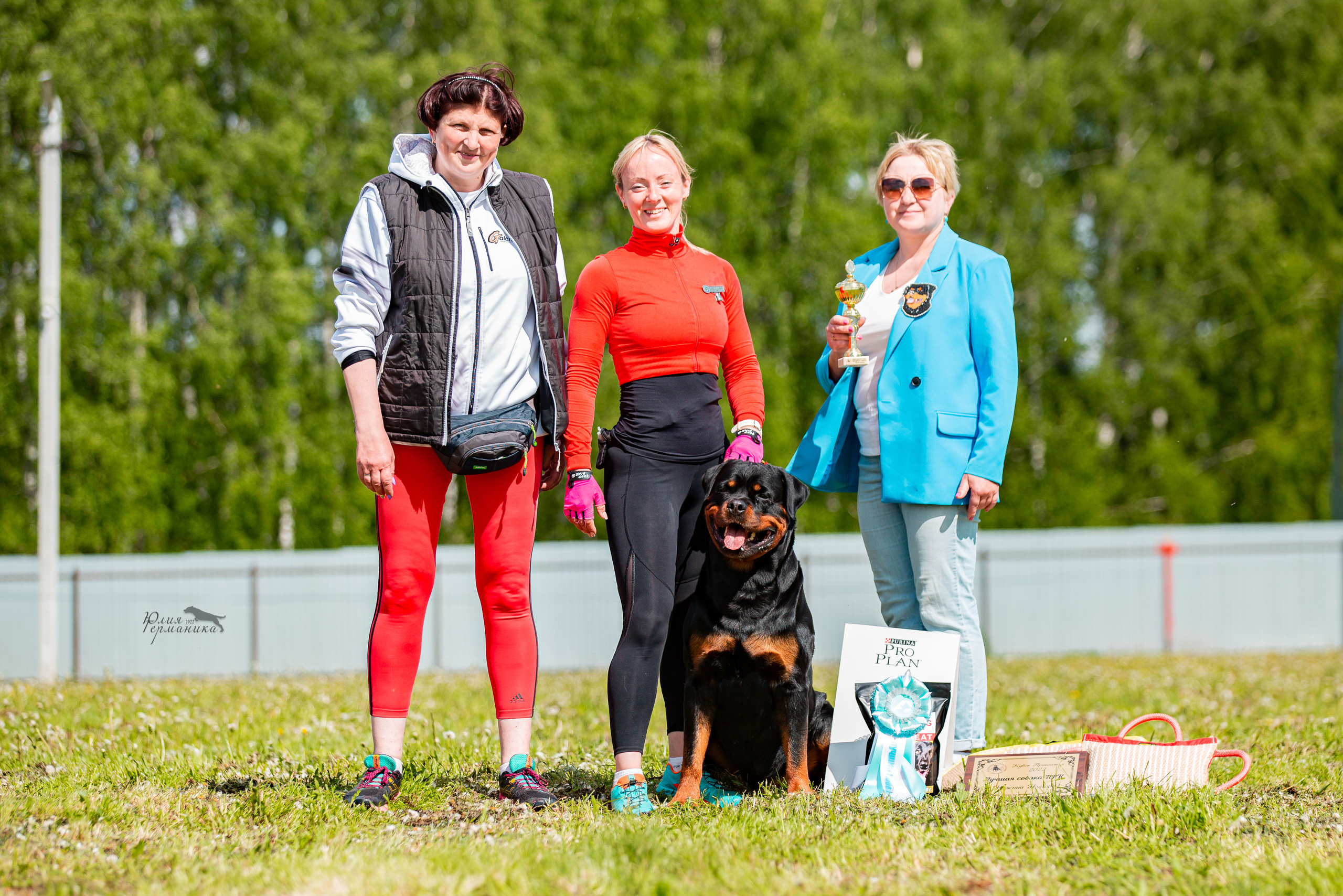 Нижний Новгород моно ротвейлеров 4 июня 2022. Фотограф-анималист Юлия Германика