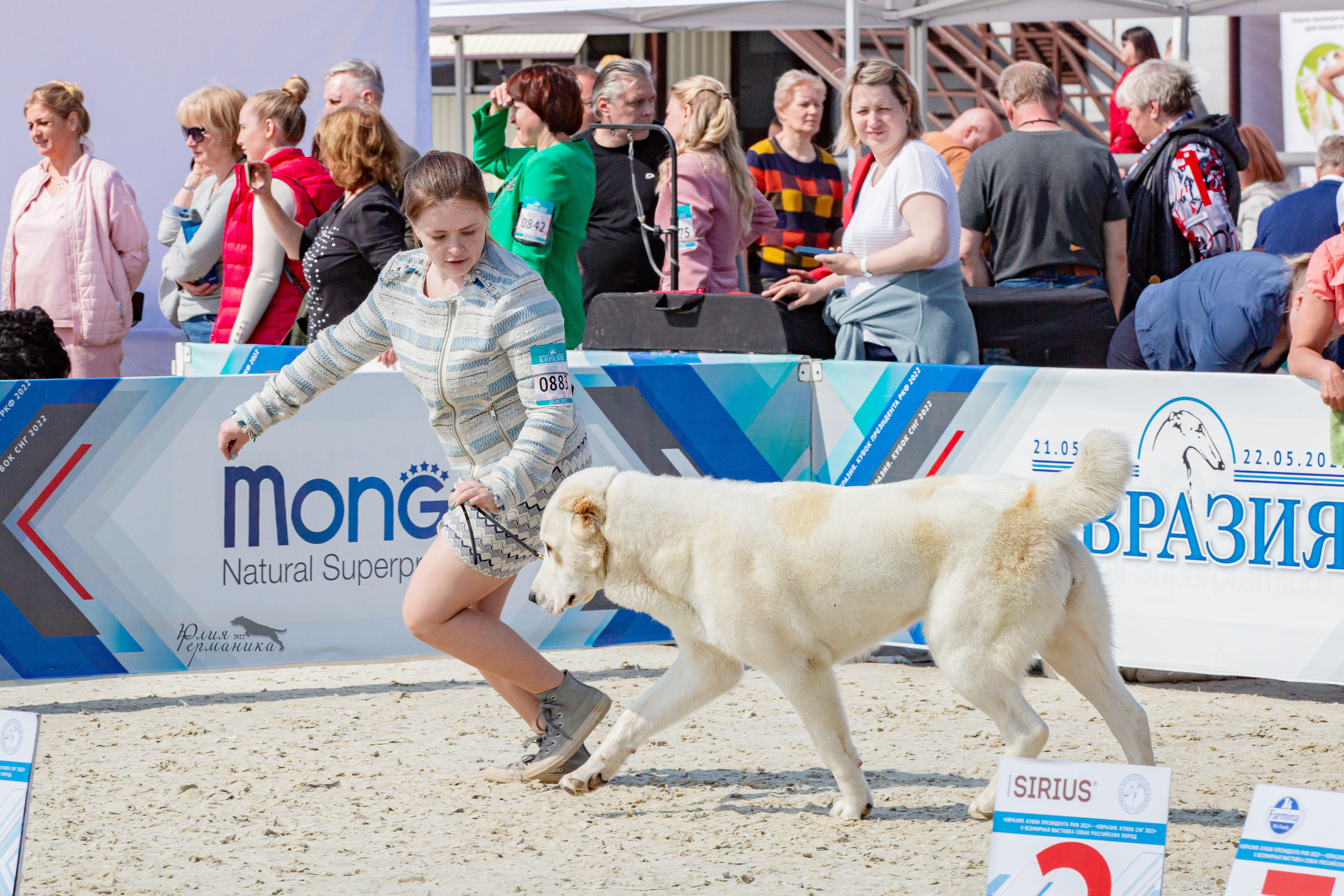 Евразия 21-22 мая 2022. Фотограф-анималист Юлия Германика