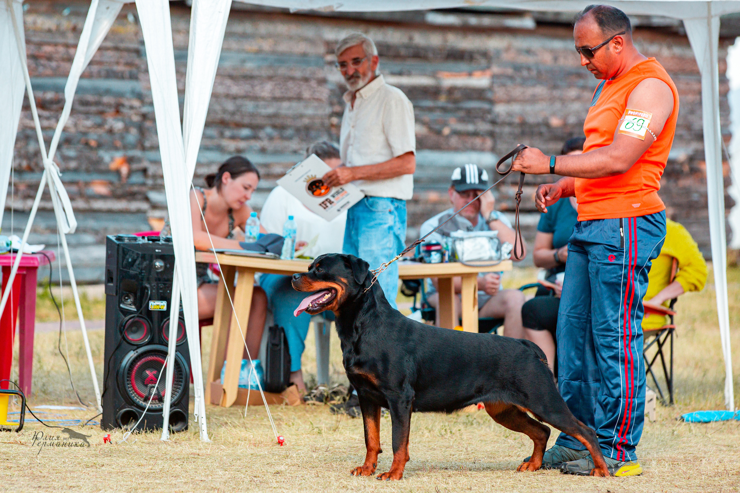 Тверь моно ротвейлеров 2-3.07.2022. Фотограф-анималист Юлия Германика