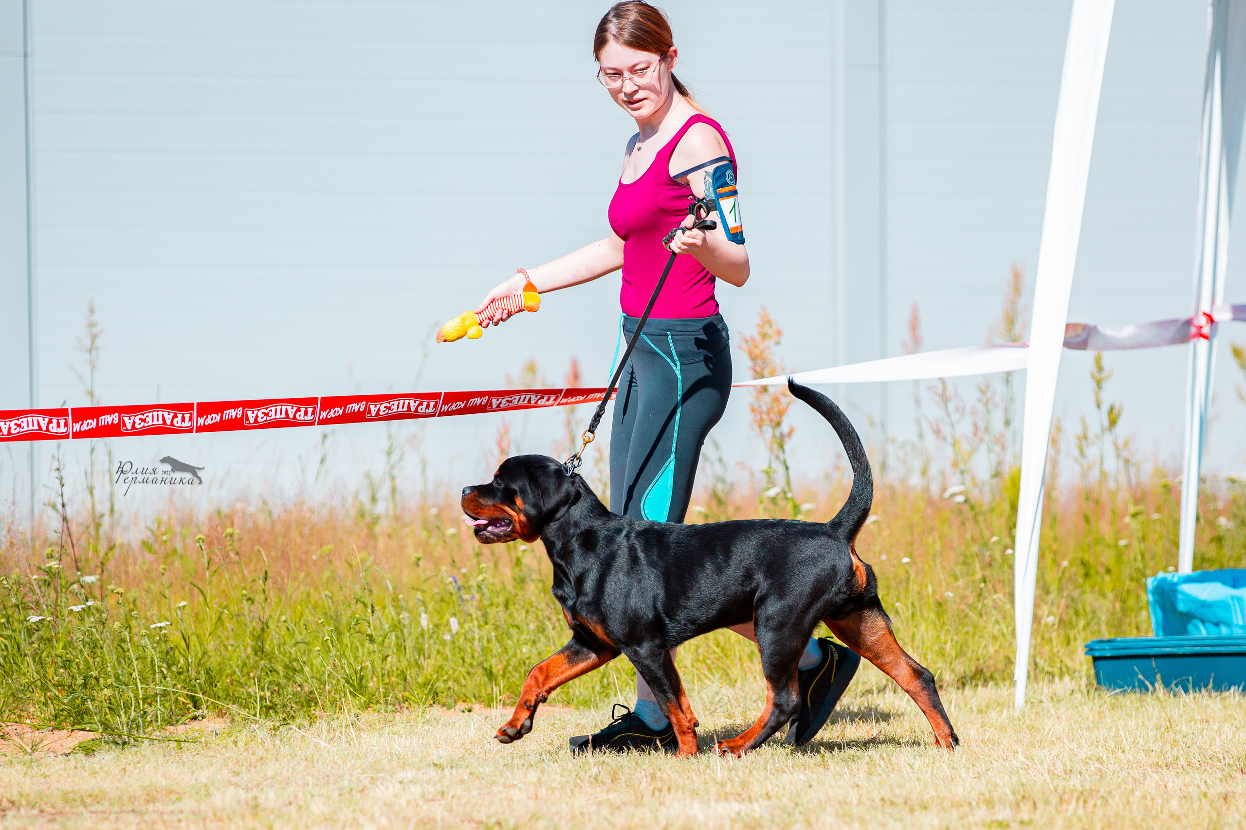 Тверь моно ротвейлеров 2-3.07.2022. Фотограф-анималист Юлия Германика