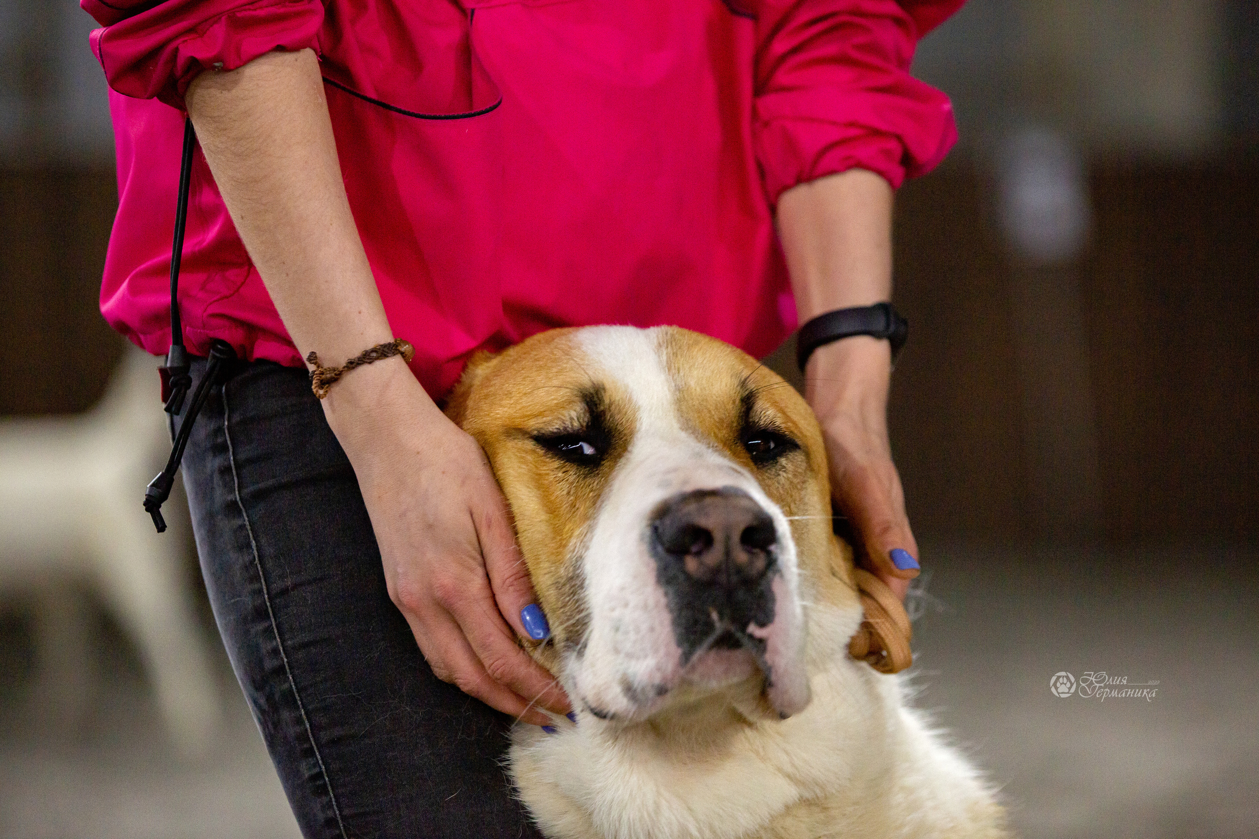 Националка САО+КЧК 24 апреля 2022. Фотограф-анималист Юлия Германика