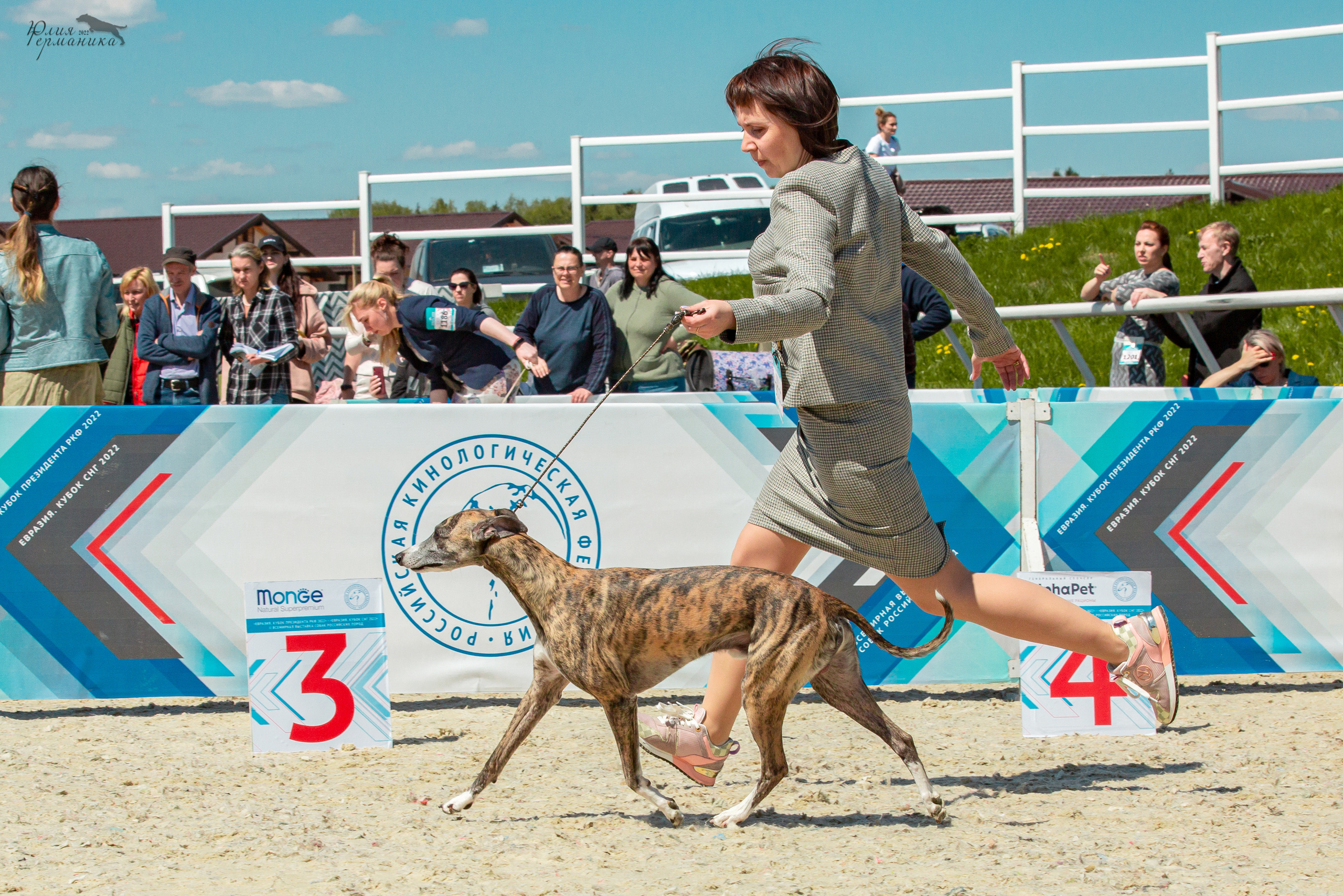 Евразия 21-22 мая 2022. Фотограф-анималист Юлия Германика