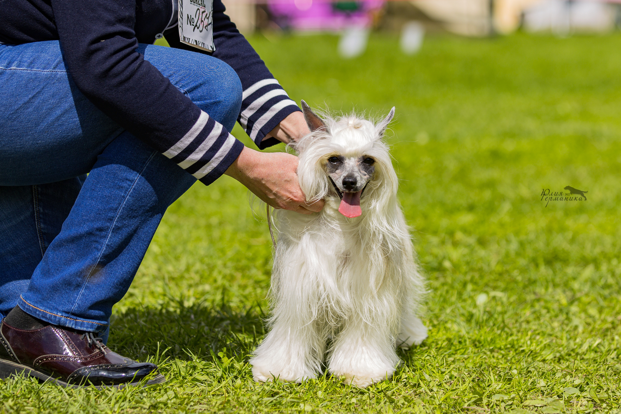 Пушкино 2хЧРКФ 14 мая 2022. Фотограф-анималист Юлия Германика