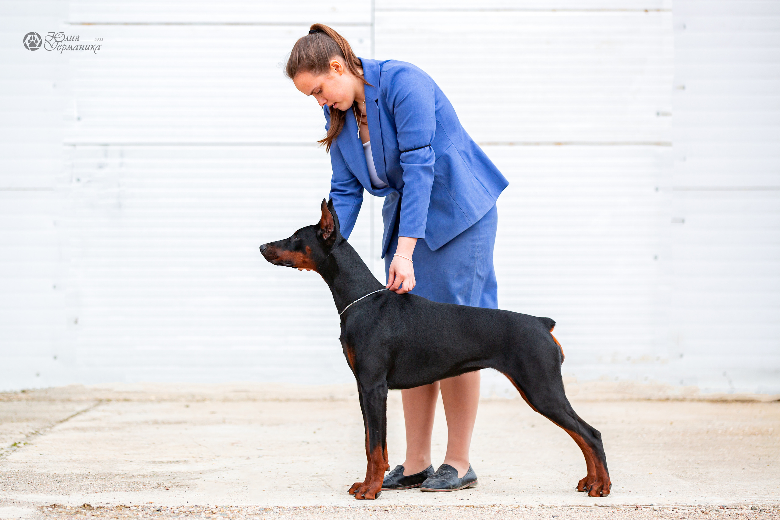 Сергиев Посад 23.04.2022. Фотограф-анималист Юлия Германика