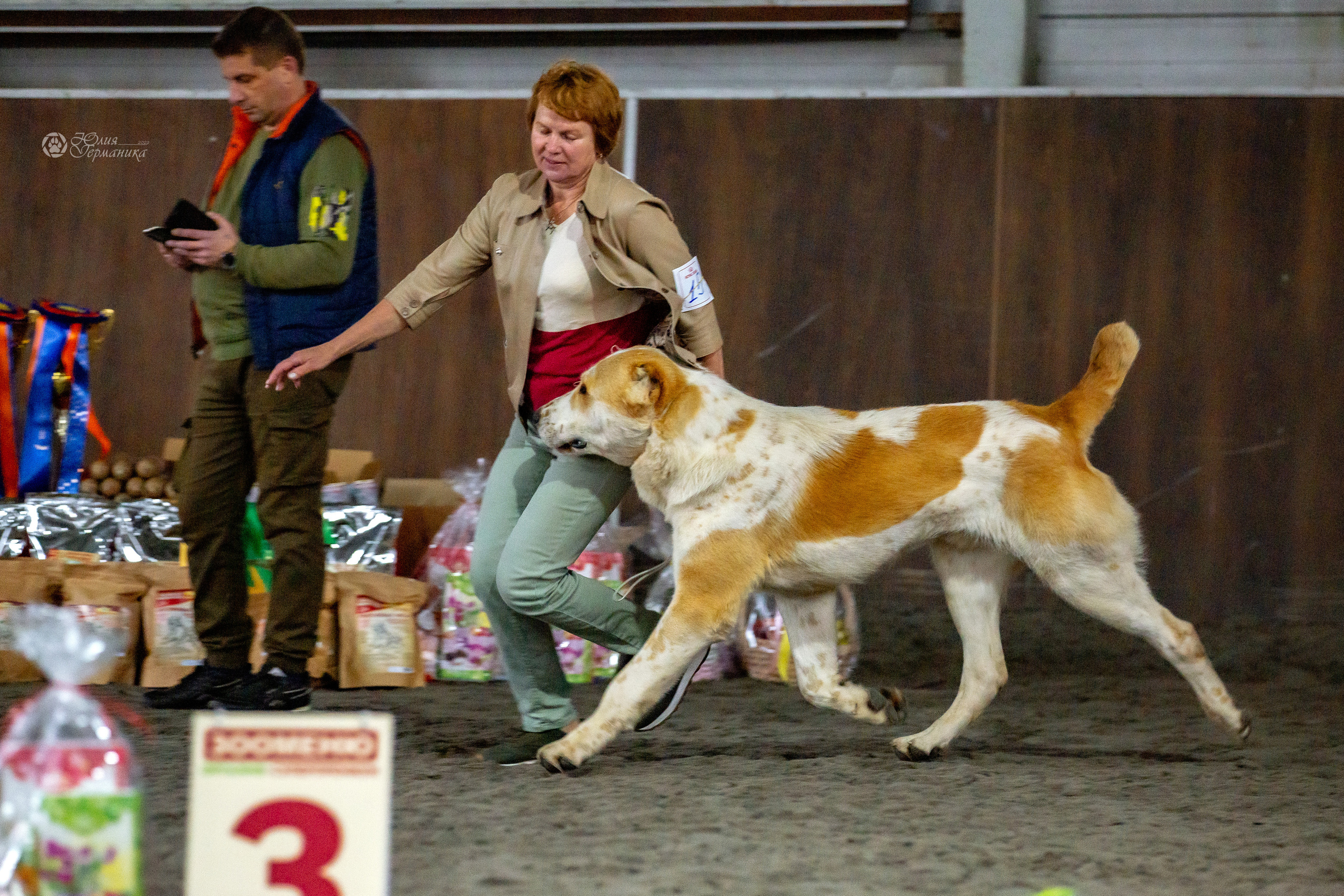 Националка САО+КЧК 24 апреля 2022. Фотограф-анималист Юлия Германика