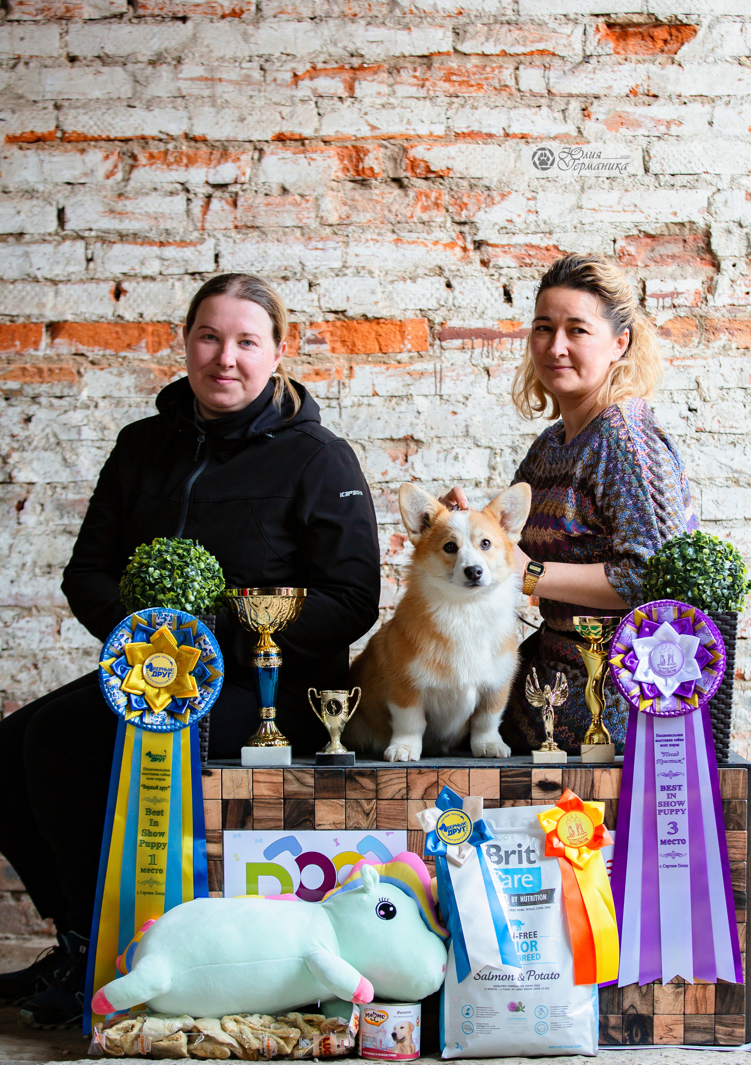 Сергиев Посад 23.04.2022. Фотограф-анималист Юлия Германика