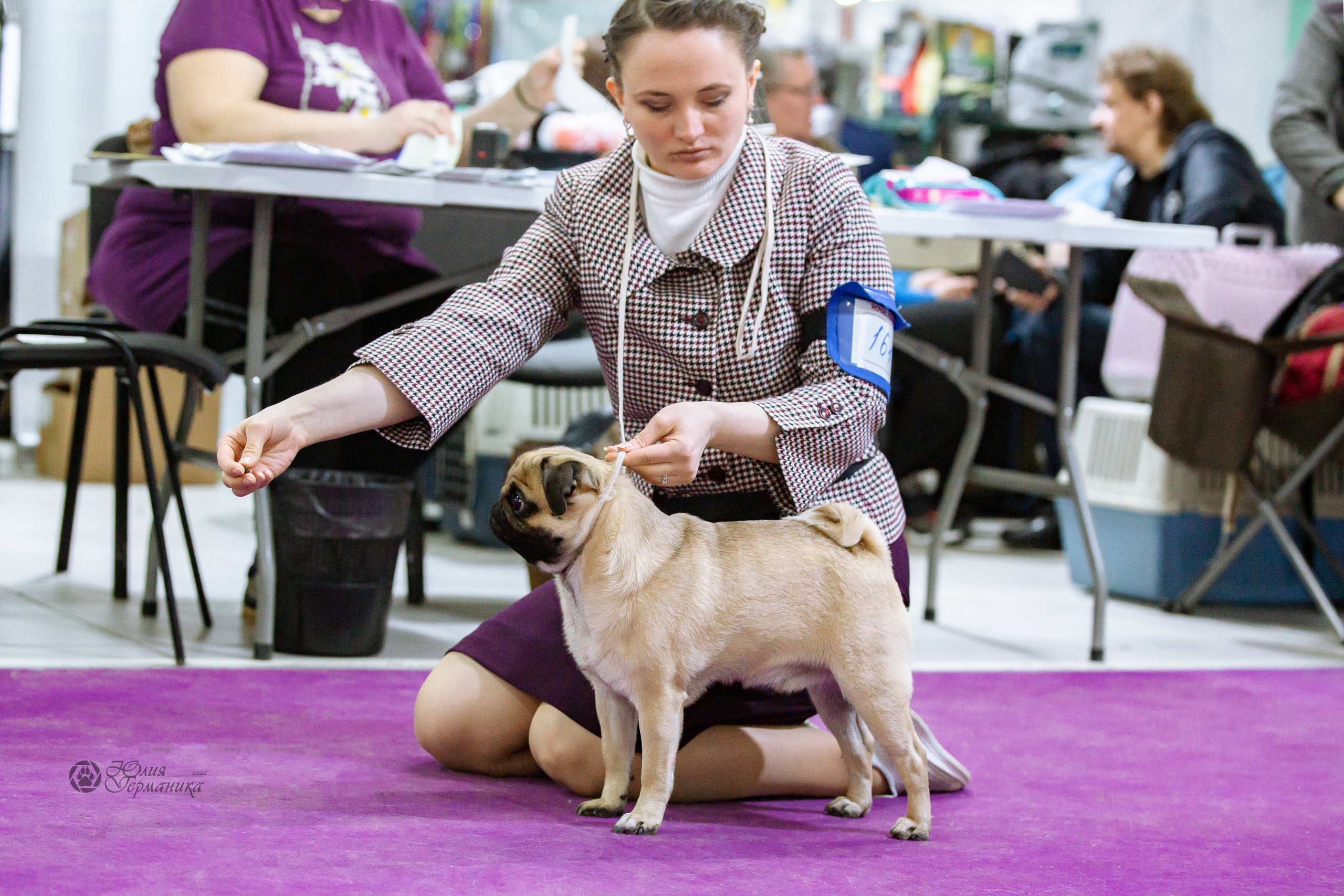 Чайна-Таун 16-17 апреля 2022. Фотограф-анималист Юлия Германика