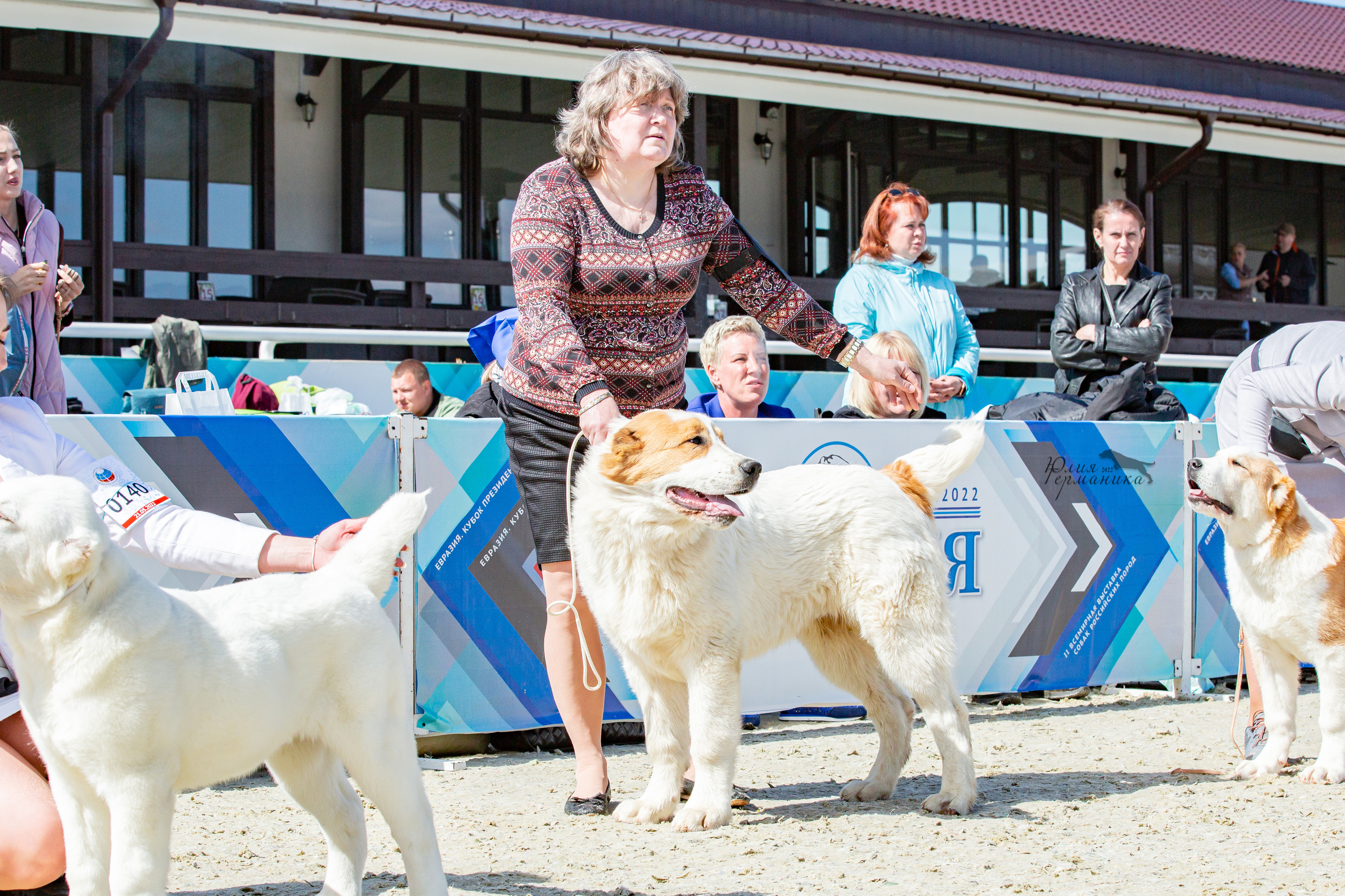 Евразия 21-22 мая 2022. Фотограф-анималист Юлия Германика