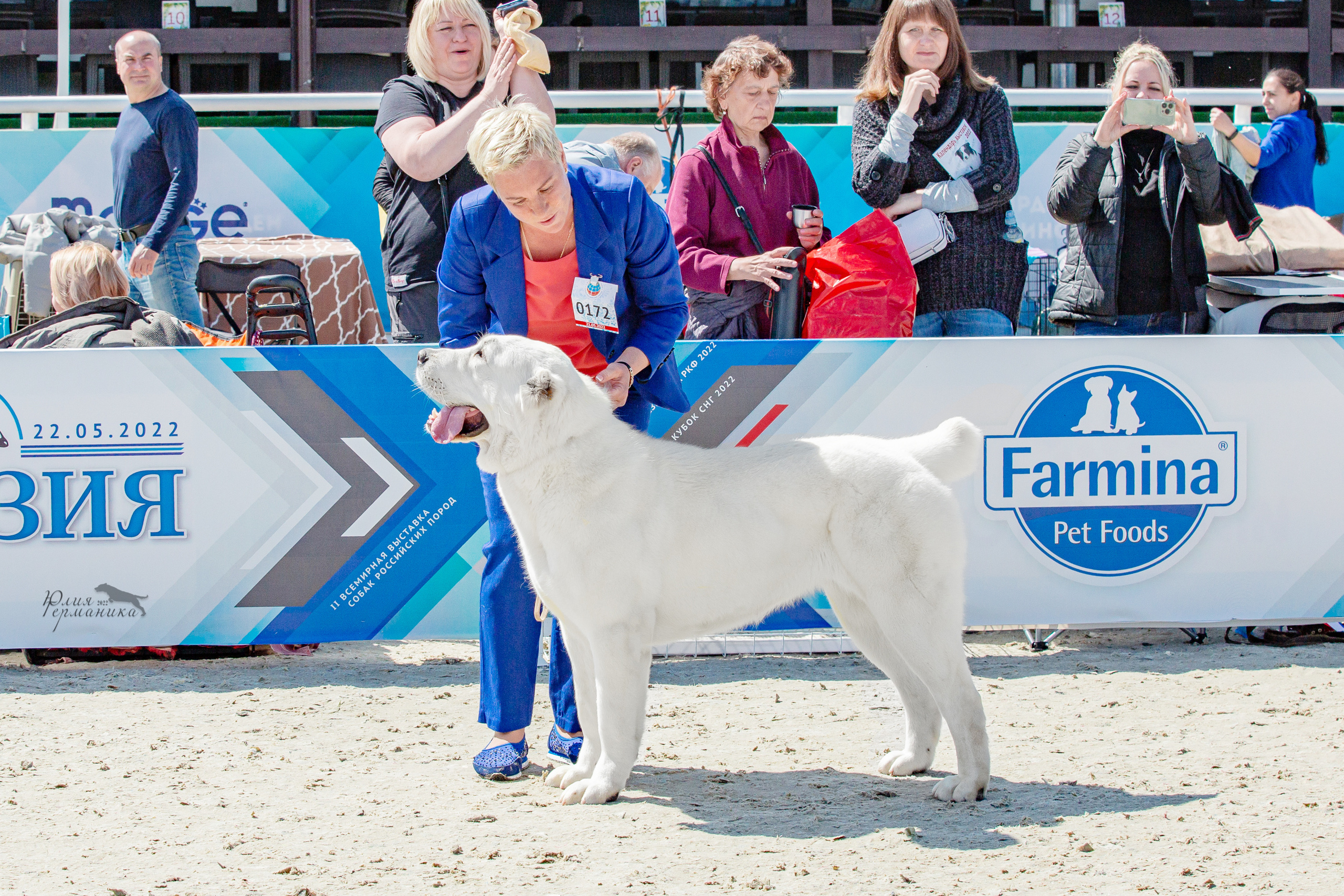Евразия 21-22 мая 2022. Фотограф-анималист Юлия Германика