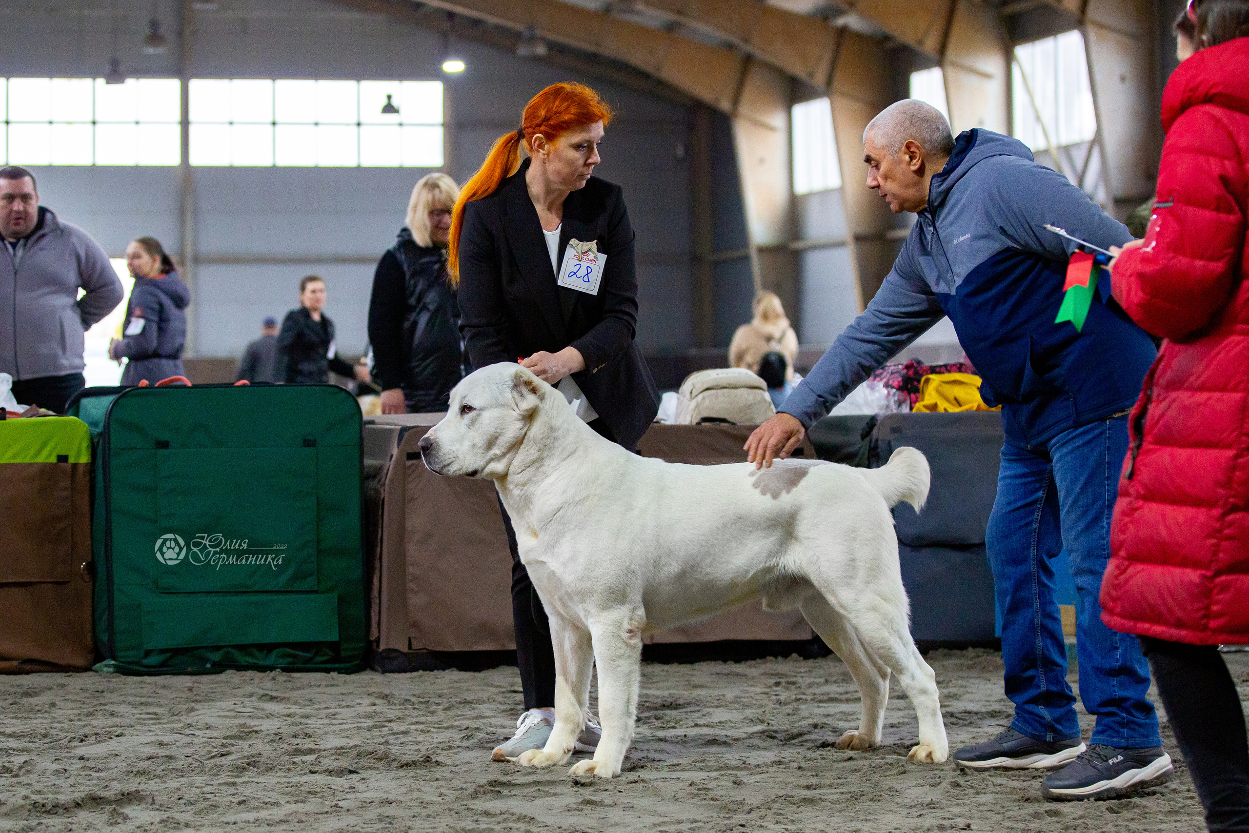 Националка САО+КЧК 24 апреля 2022. Фотограф-анималист Юлия Германика