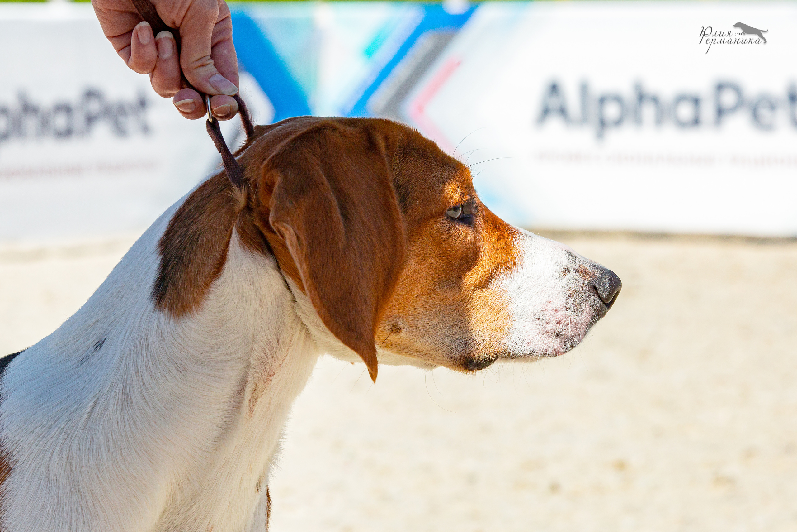 Евразия 21-22 мая 2022. Фотограф-анималист Юлия Германика