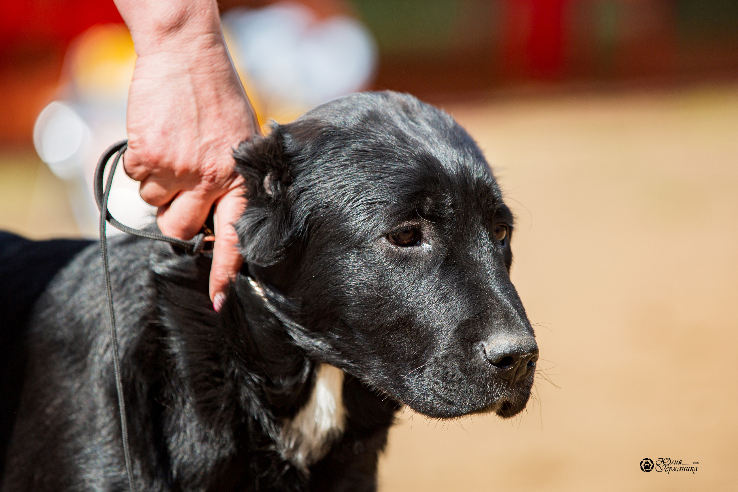 Сокольники 1 мая 2022. Фотограф-анималист Юлия Германика