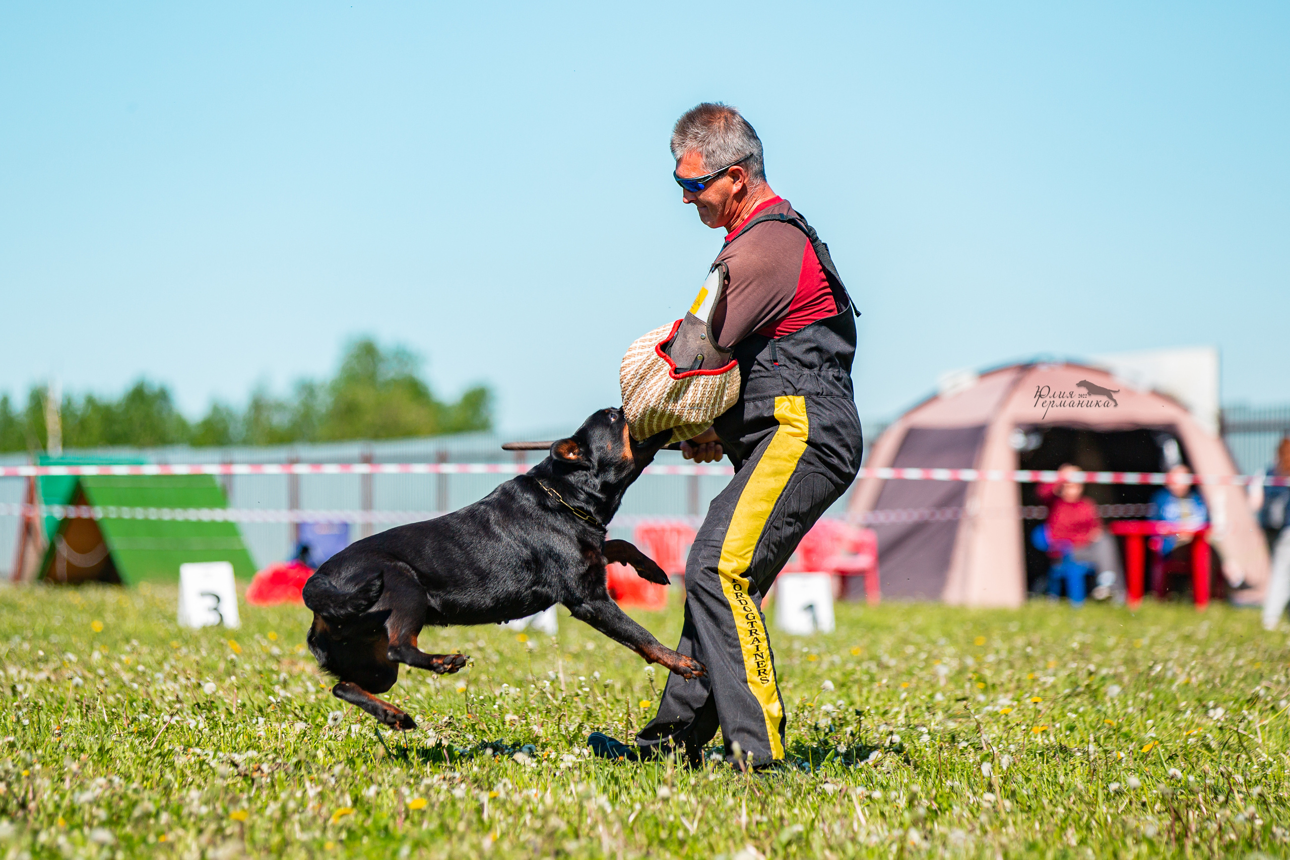 Нижний Новгород моно ротвейлеров 4 июня 2022. Фотограф-анималист Юлия Германика