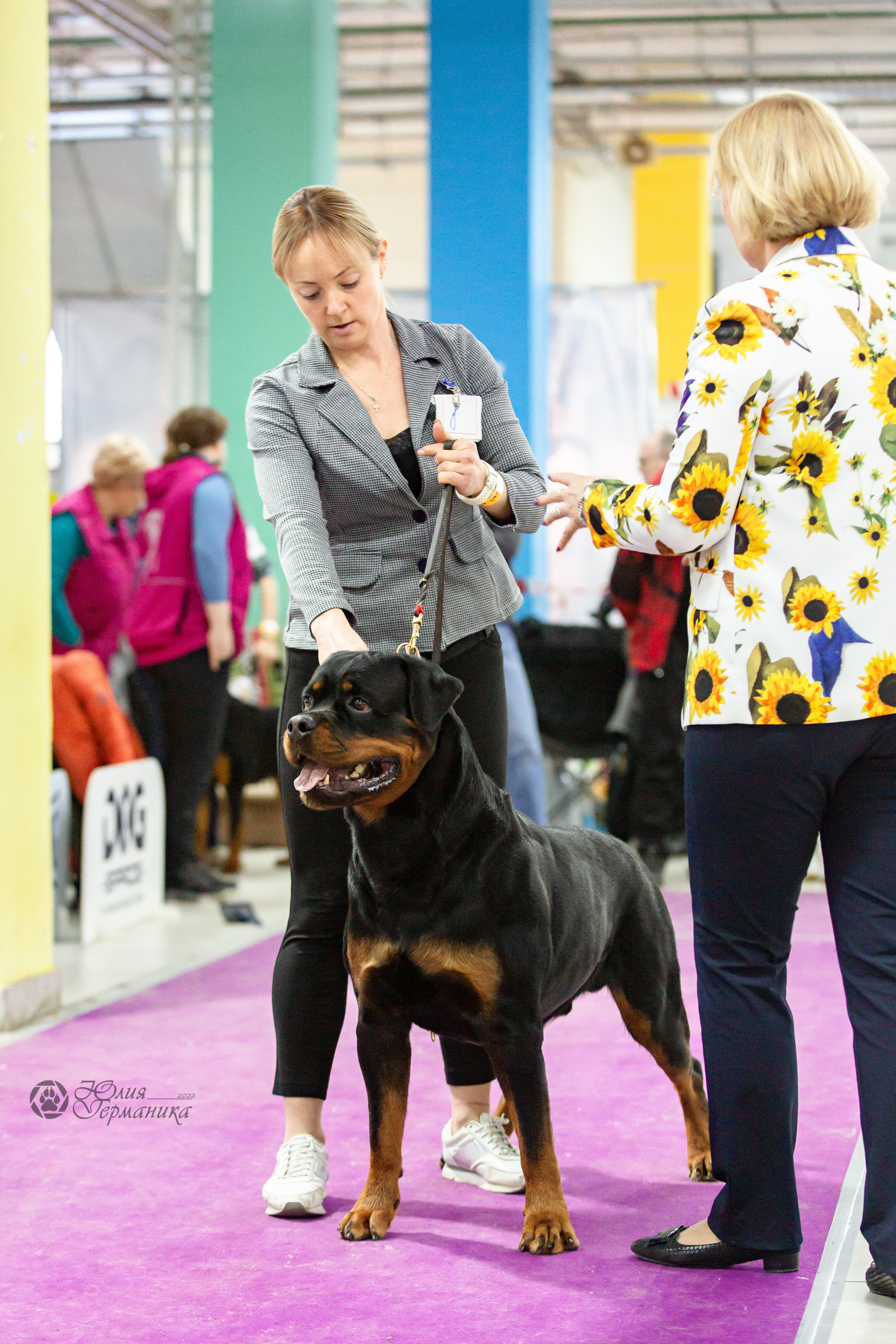 Чайна-Таун 16-17 апреля 2022. Фотограф-анималист Юлия Германика