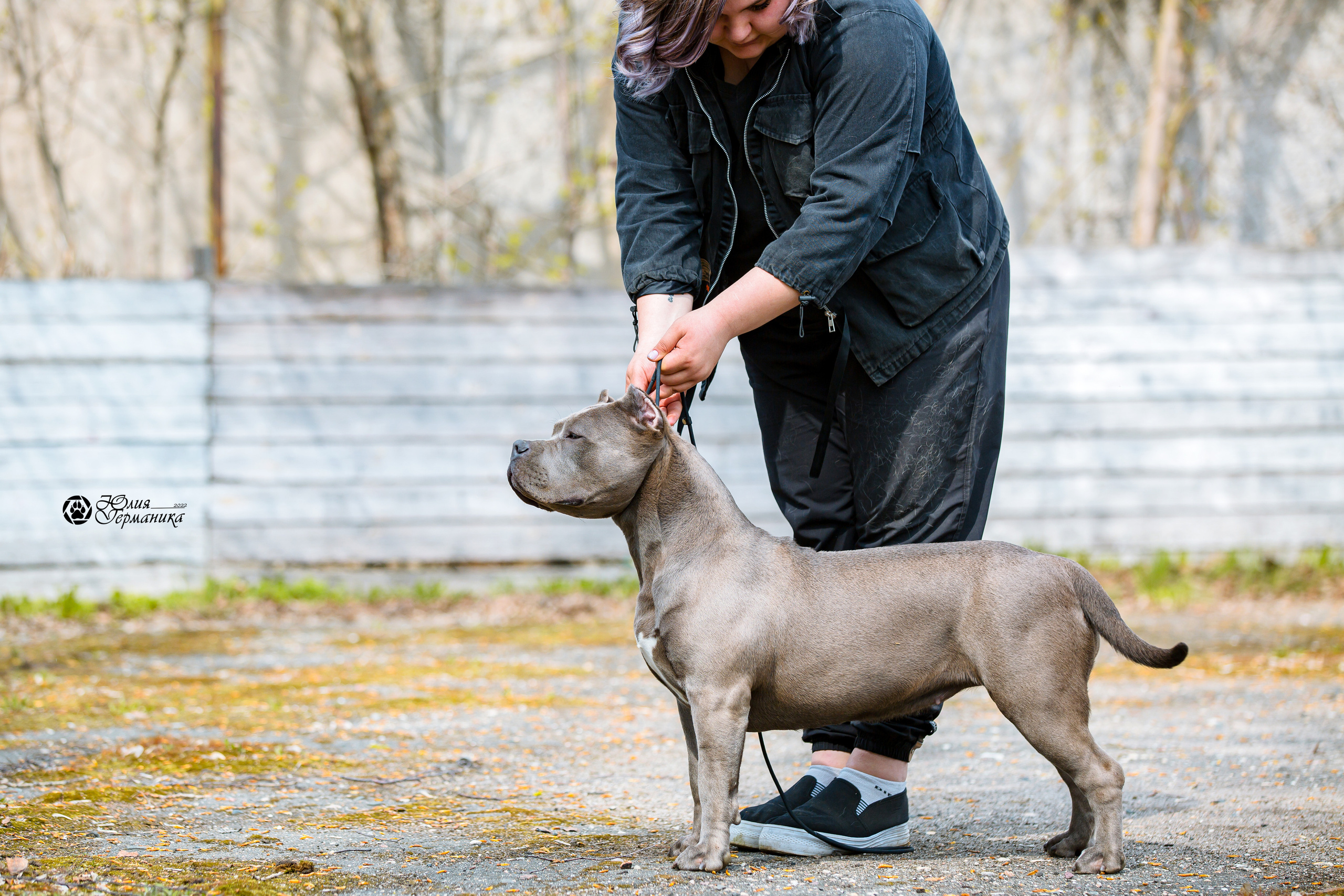 Александров 2хСАС 8 мая 2022. Фотограф-анималист Юлия Германика