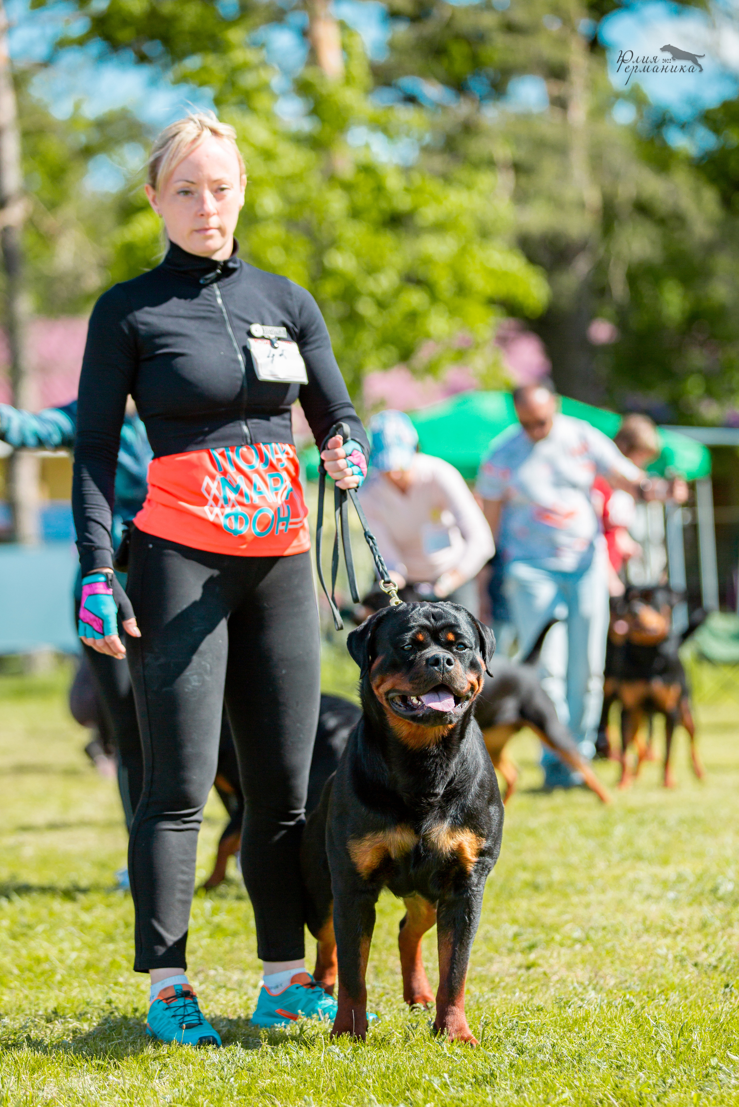 Воронеж моно ротвейлеров 28-29 мая 2022. Фотограф-анималист Юлия Германика
