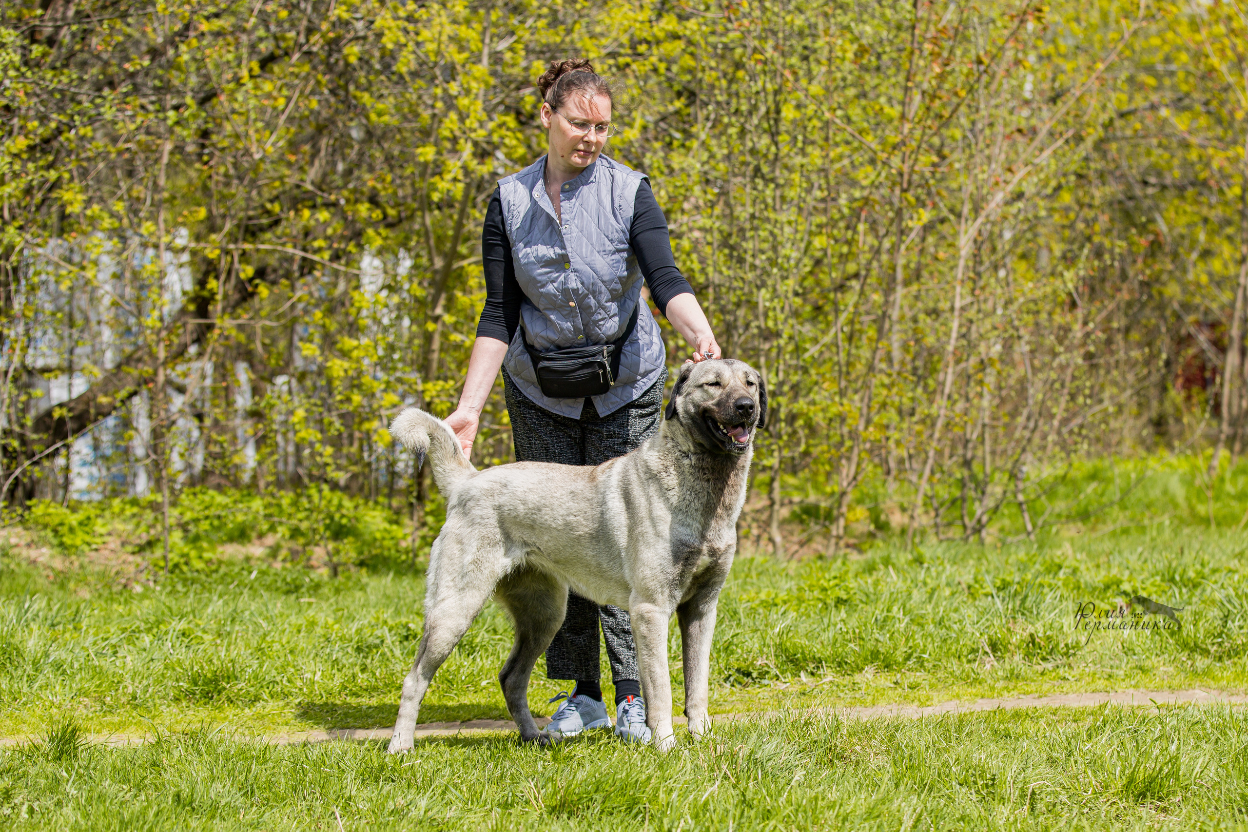 Пушкино 2хЧРКФ 14 мая 2022. Фотограф-анималист Юлия Германика