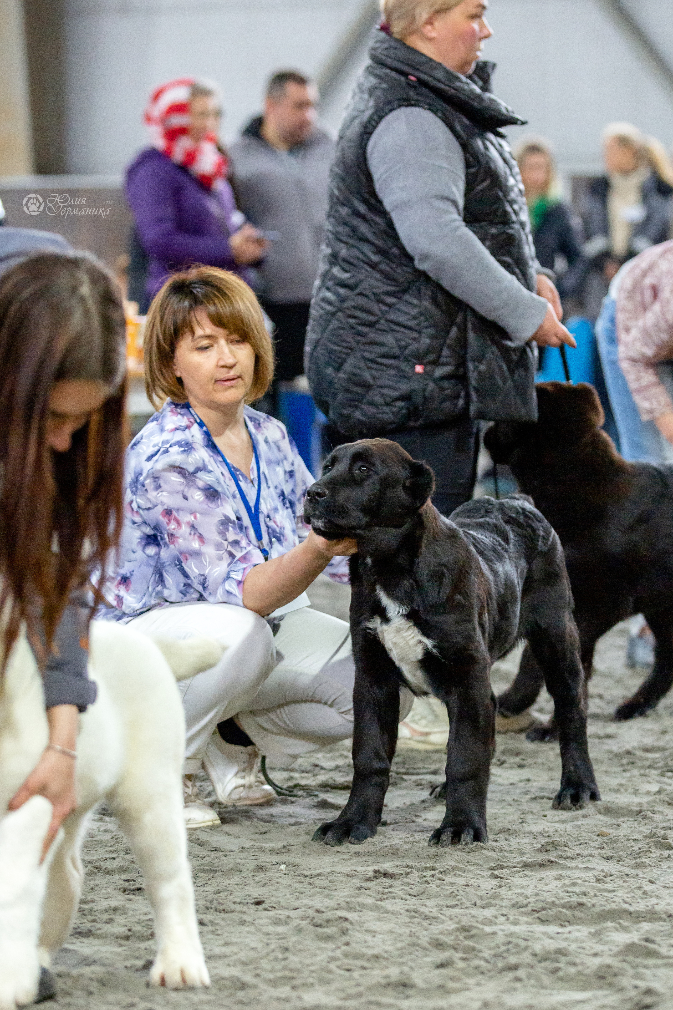 Националка САО+КЧК 24 апреля 2022. Фотограф-анималист Юлия Германика