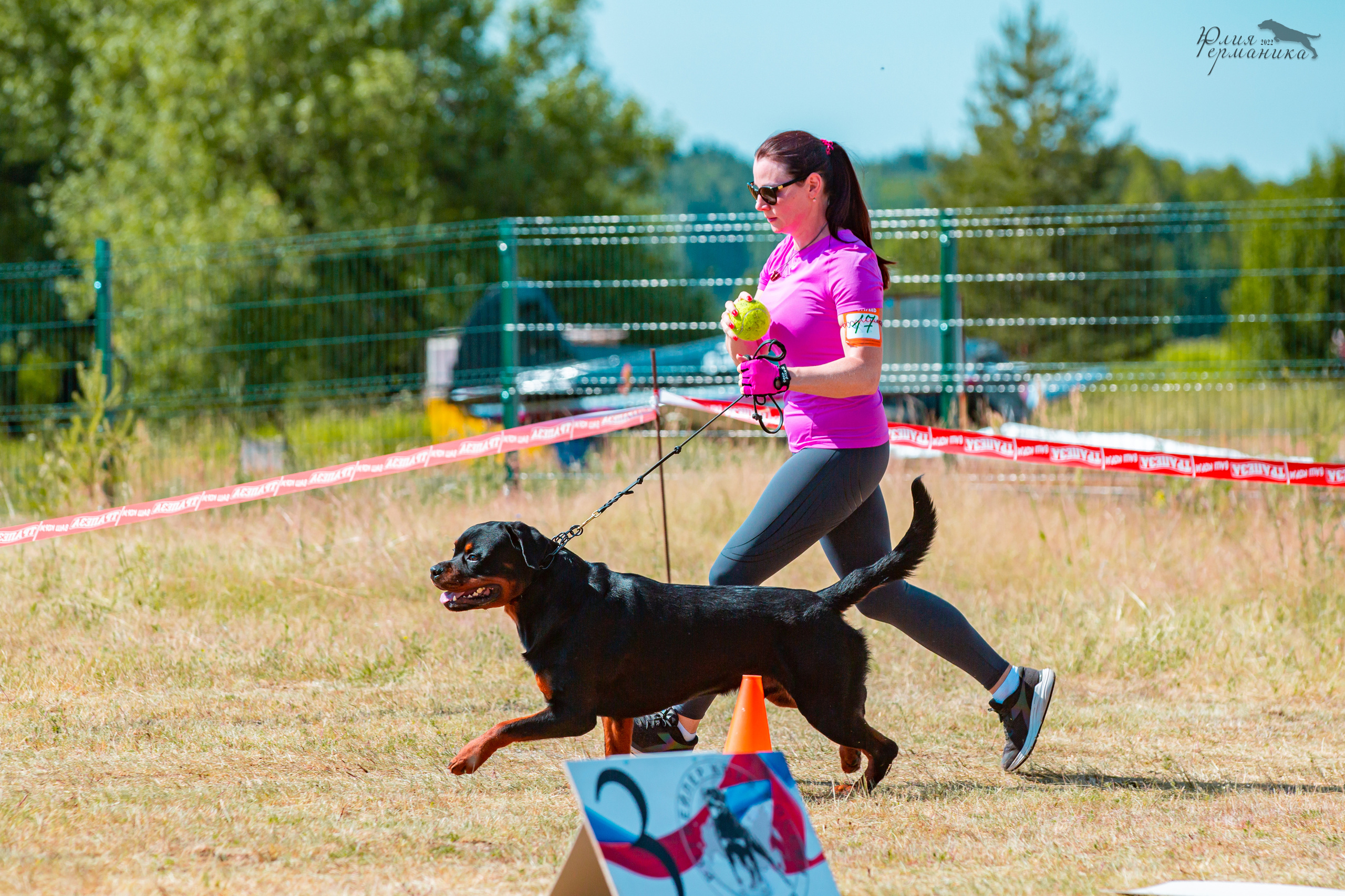 Тверь моно ротвейлеров 2-3.07.2022. Фотограф-анималист Юлия Германика