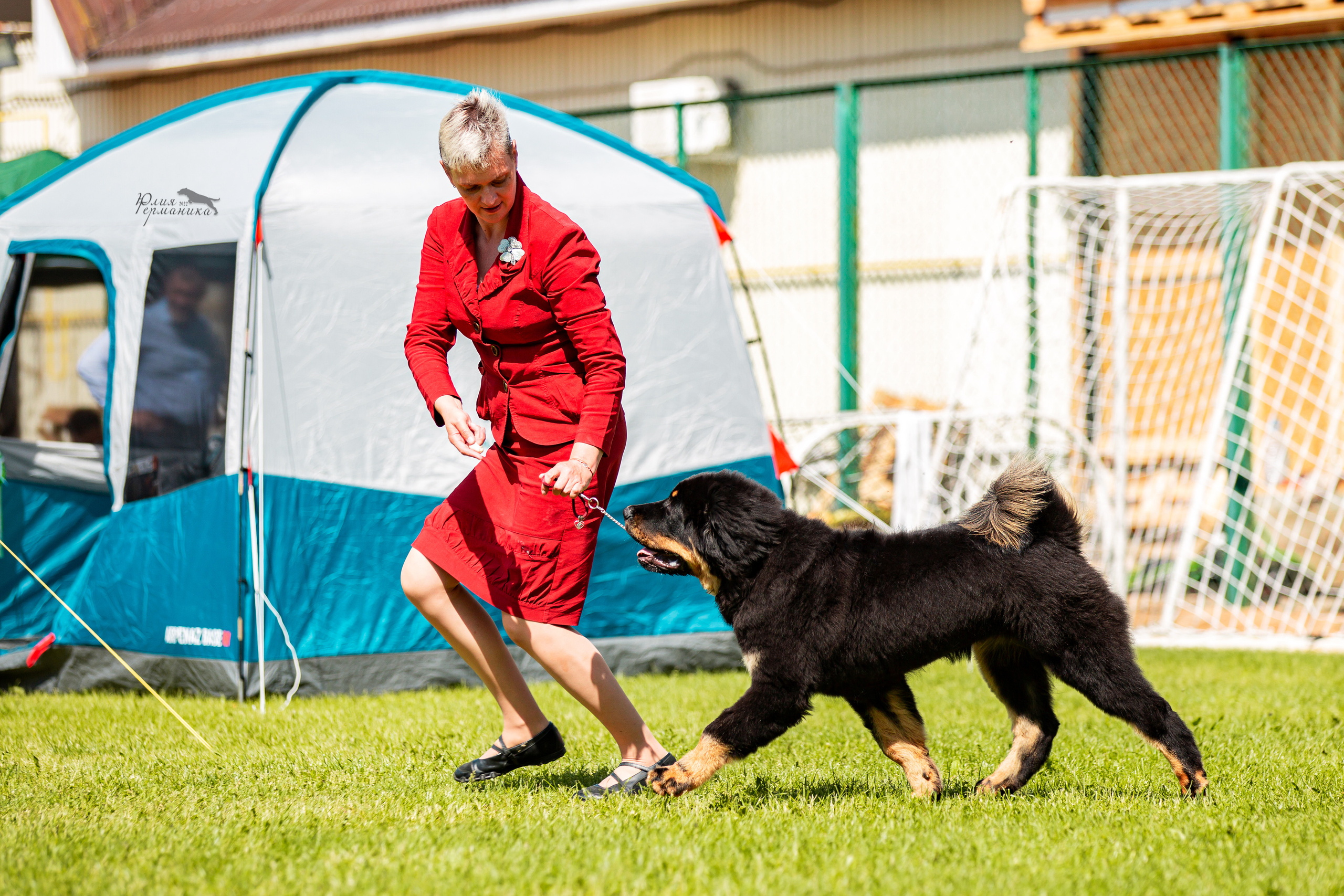 Смоленск 12.06,   Ховрино 13.06,    Питер 18.06 2022. Фотограф-анималист Юлия Германика