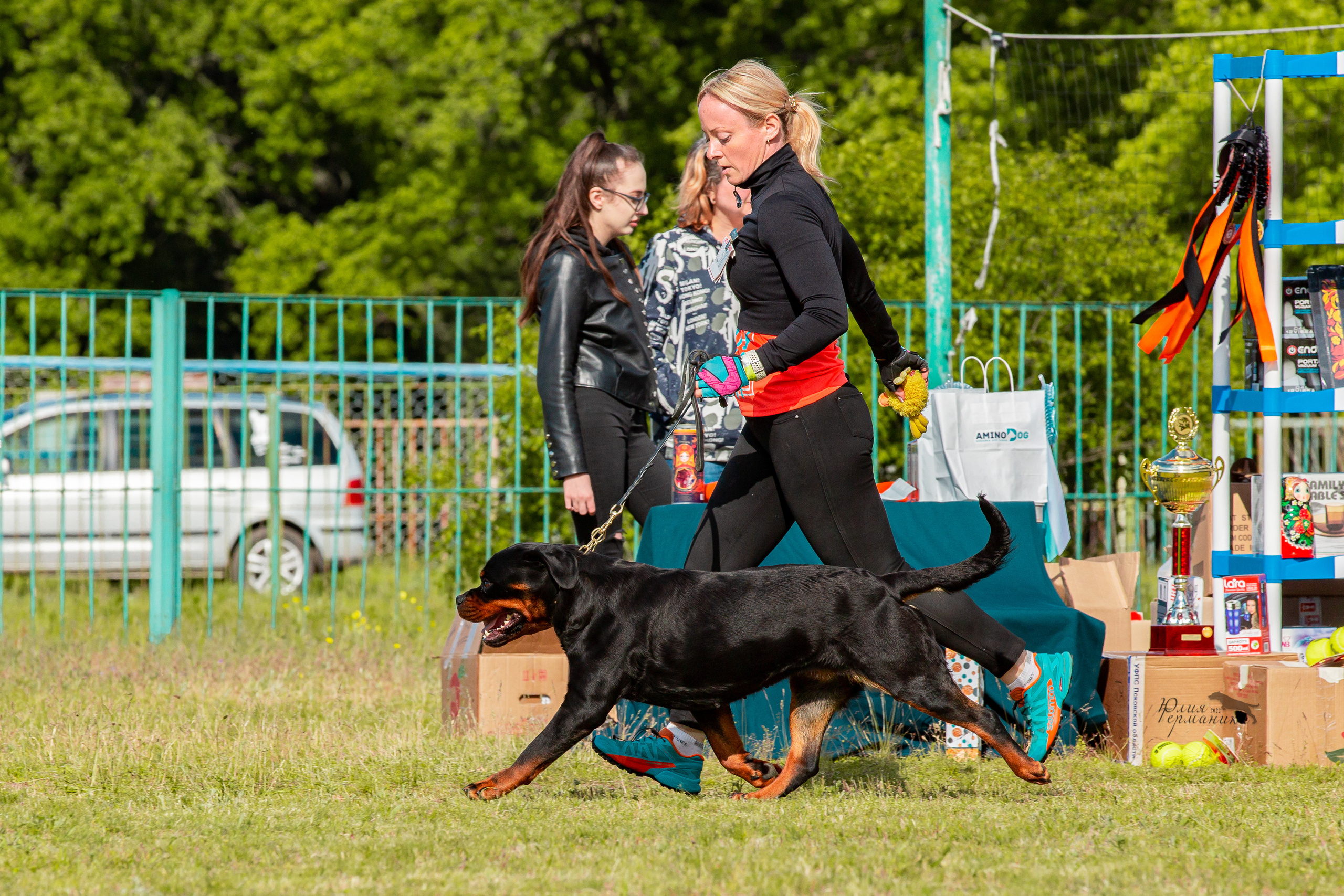 Воронеж моно ротвейлеров 28-29 мая 2022. Фотограф-анималист Юлия Германика