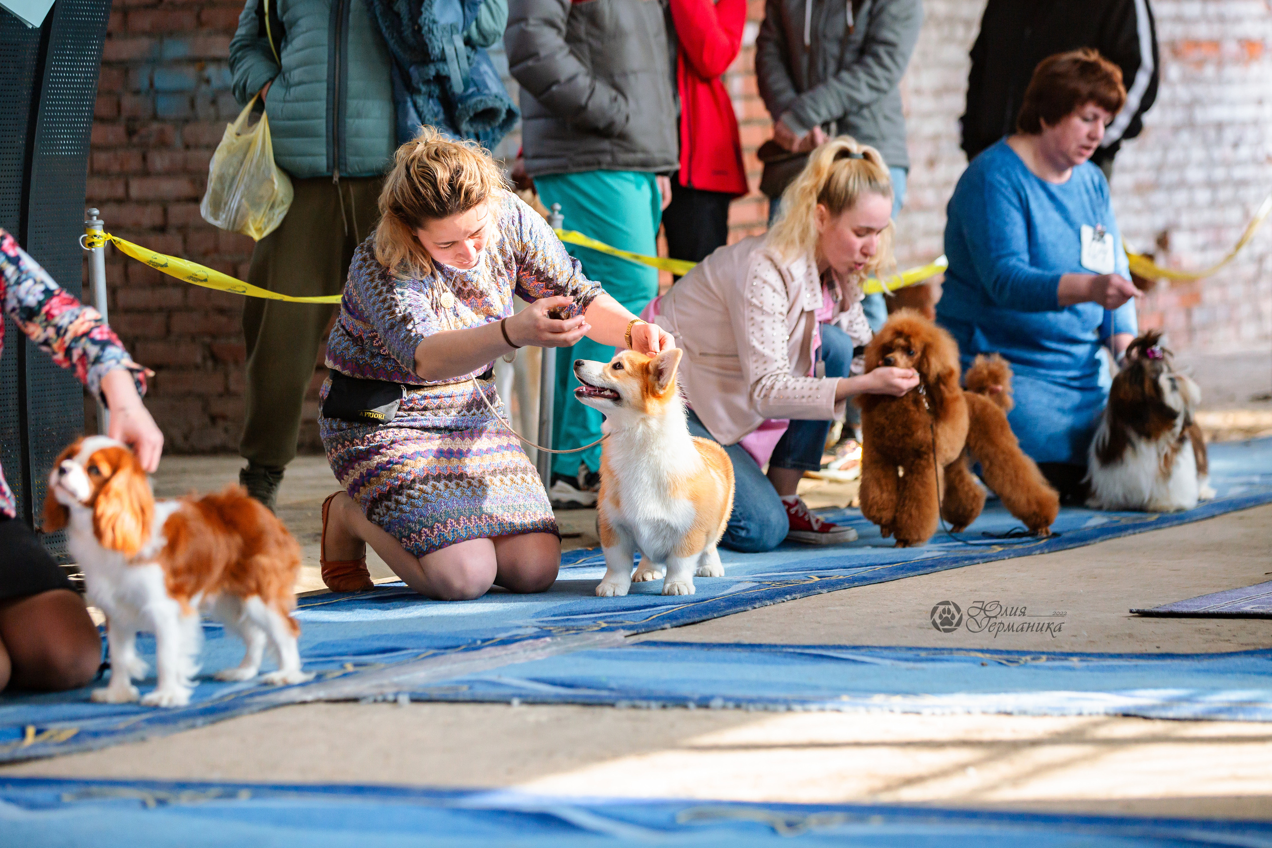 Сергиев Посад 23.04.2022. Фотограф-анималист Юлия Германика