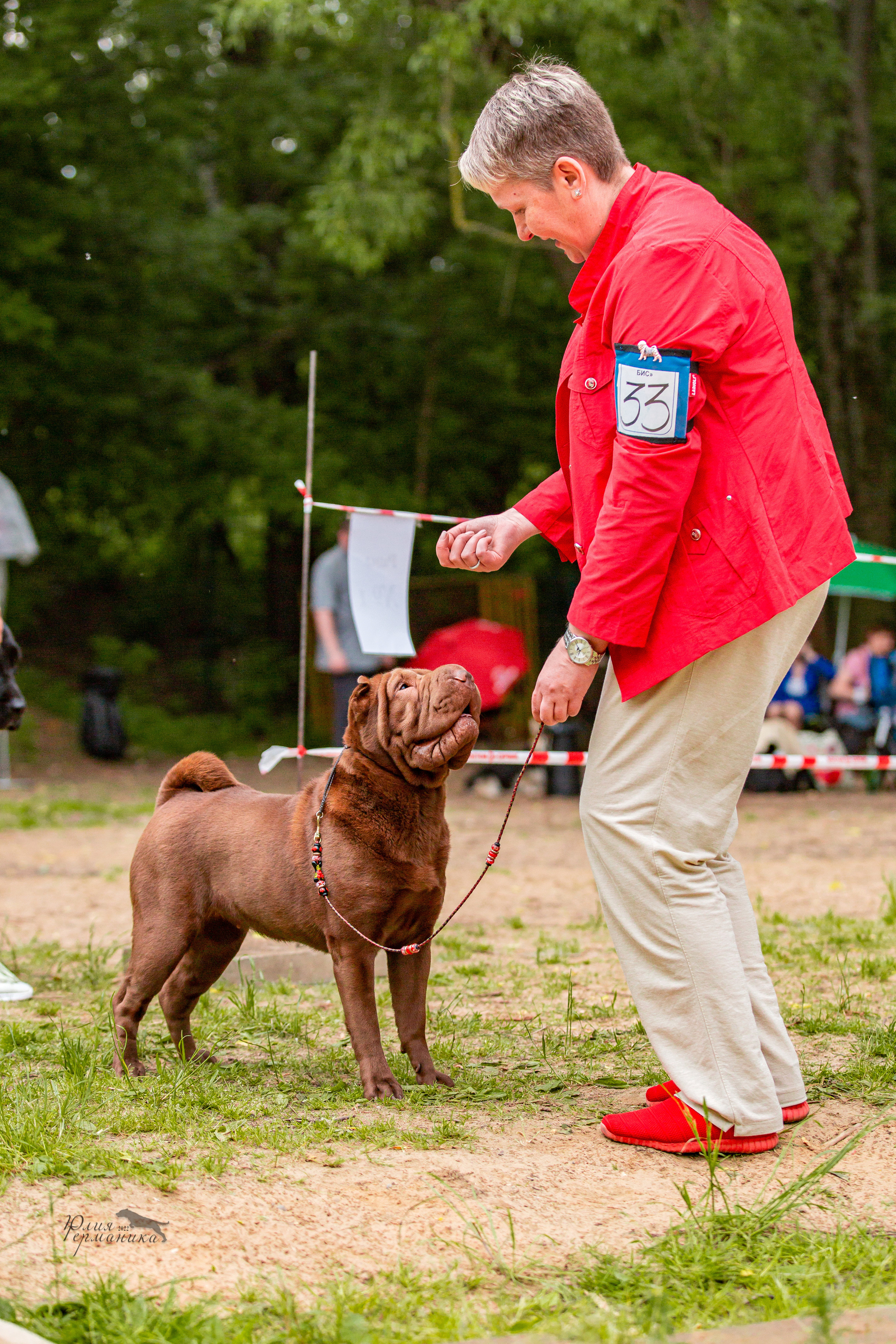 Смоленск 12.06,   Ховрино 13.06,    Питер 18.06 2022. Фотограф-анималист Юлия Германика