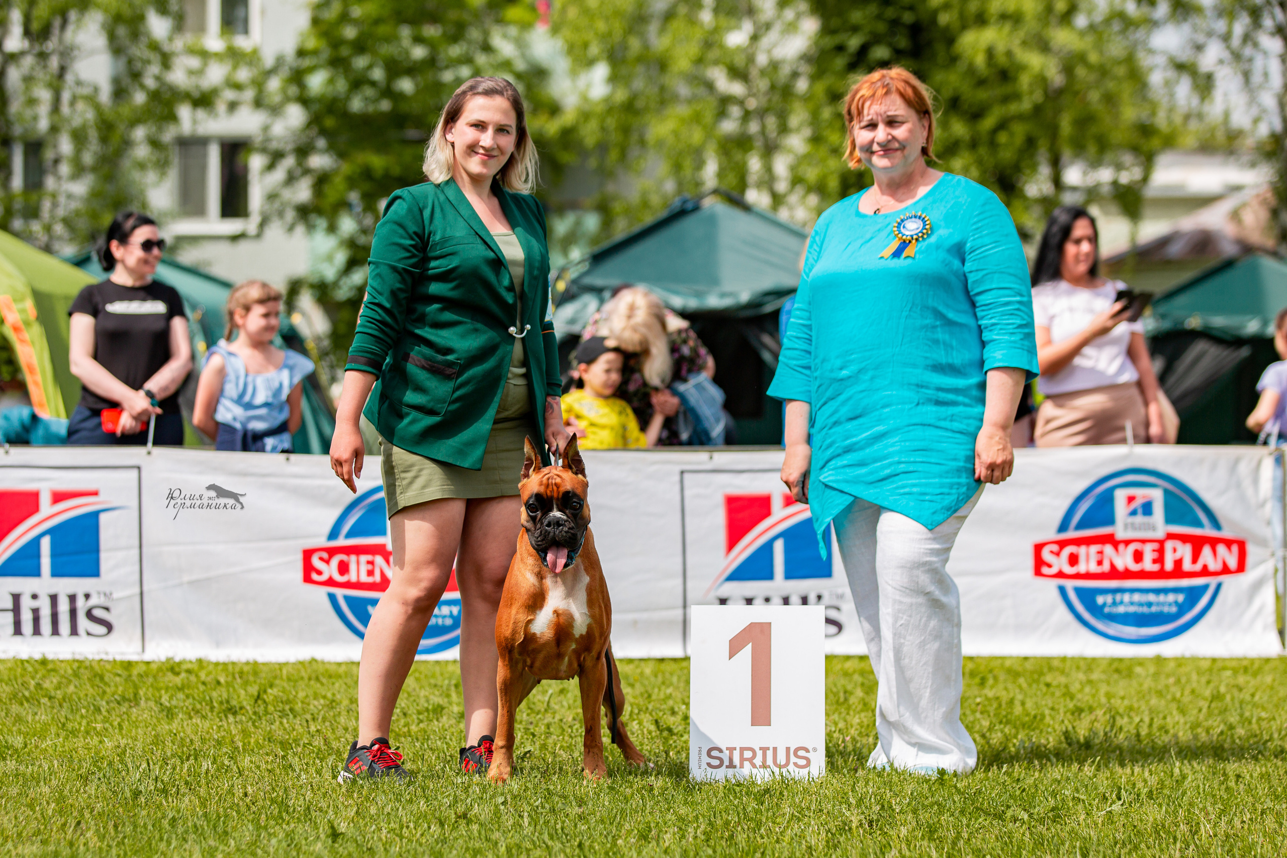 Смоленск 12.06,   Ховрино 13.06,    Питер 18.06 2022. Фотограф-анималист Юлия Германика