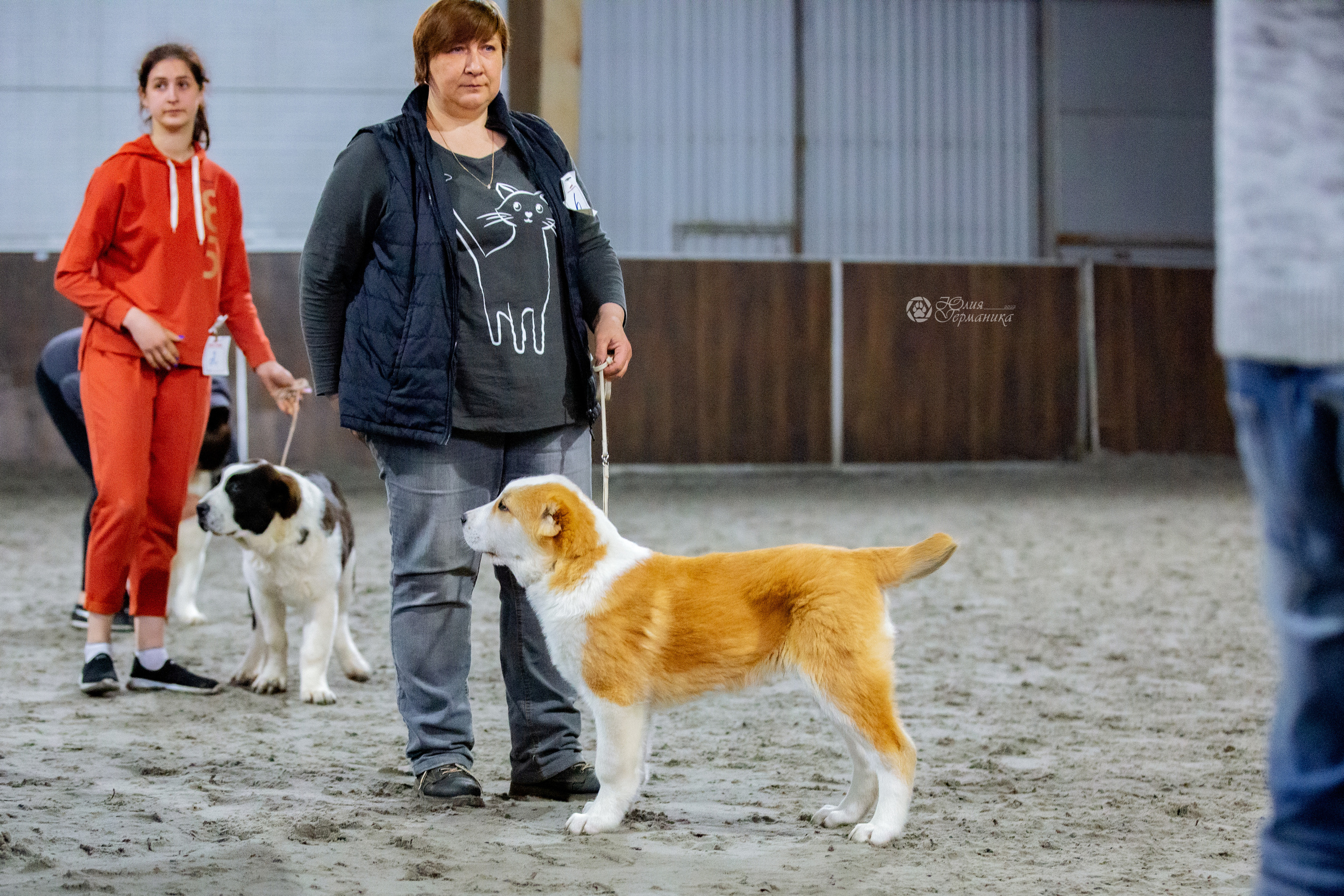 Националка САО+КЧК 24 апреля 2022. Фотограф-анималист Юлия Германика