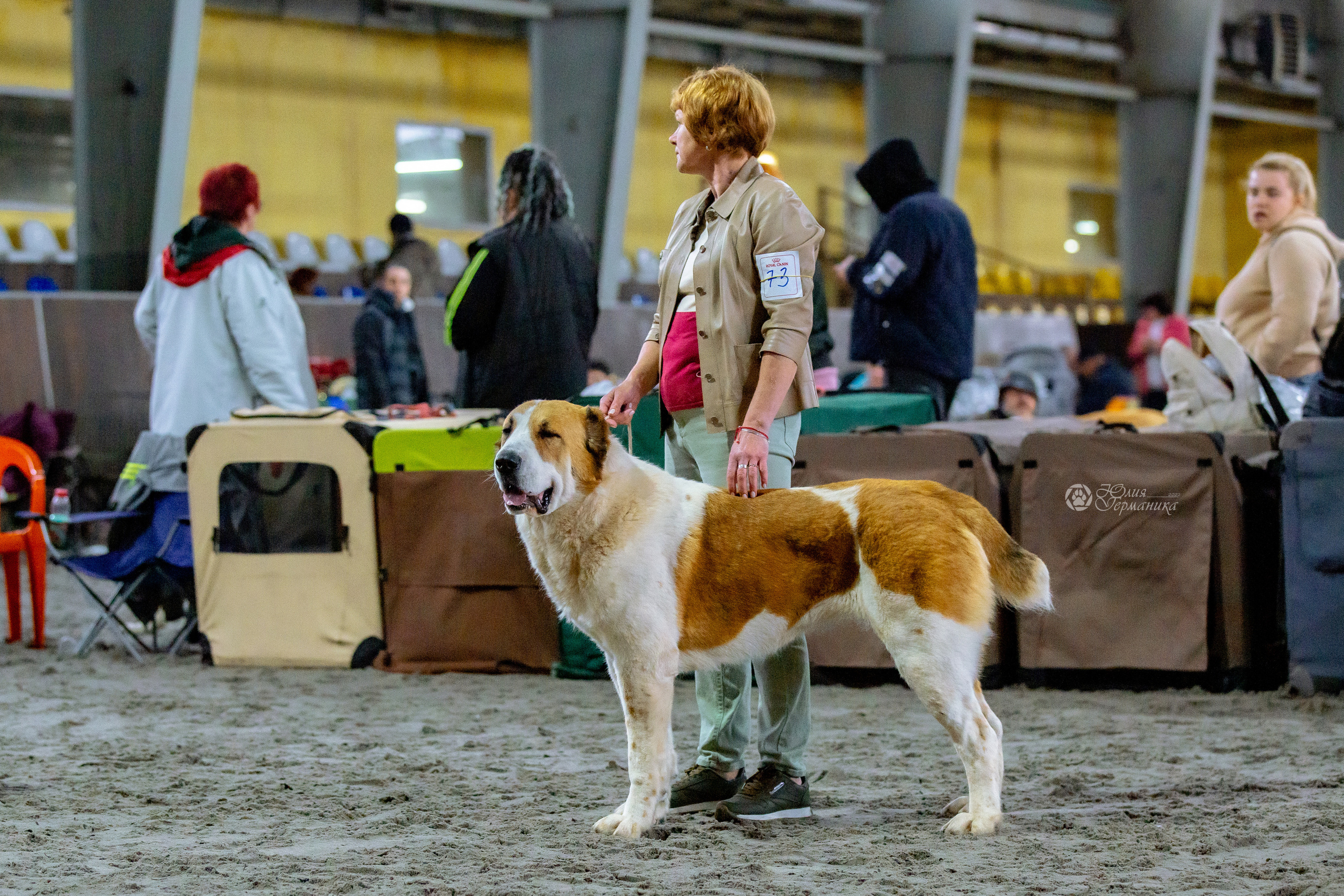 Националка САО+КЧК 24 апреля 2022. Фотограф-анималист Юлия Германика