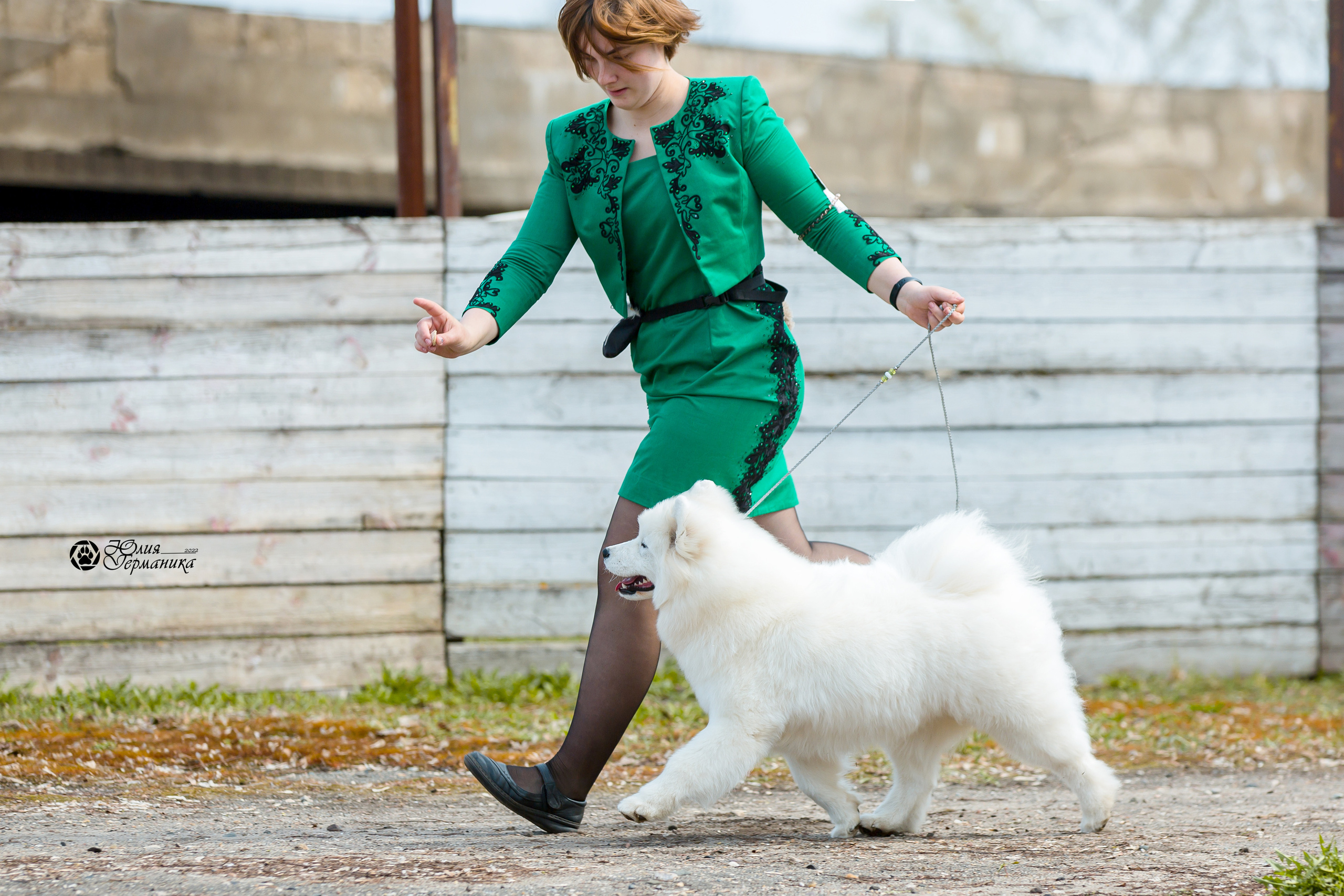 Александров 2хСАС 8 мая 2022. Фотограф-анималист Юлия Германика