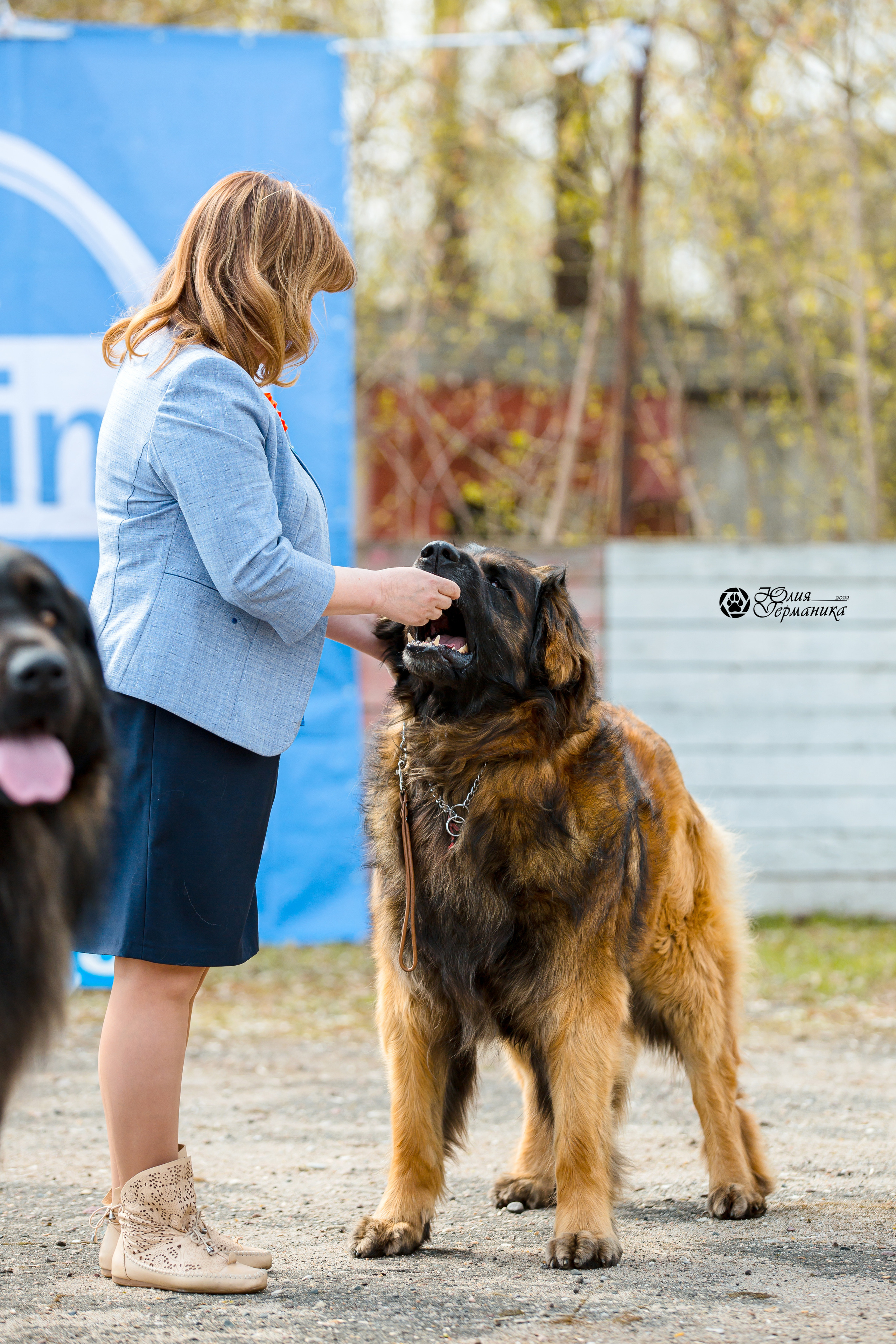 Александров 2хСАС 8 мая 2022. Фотограф-анималист Юлия Германика
