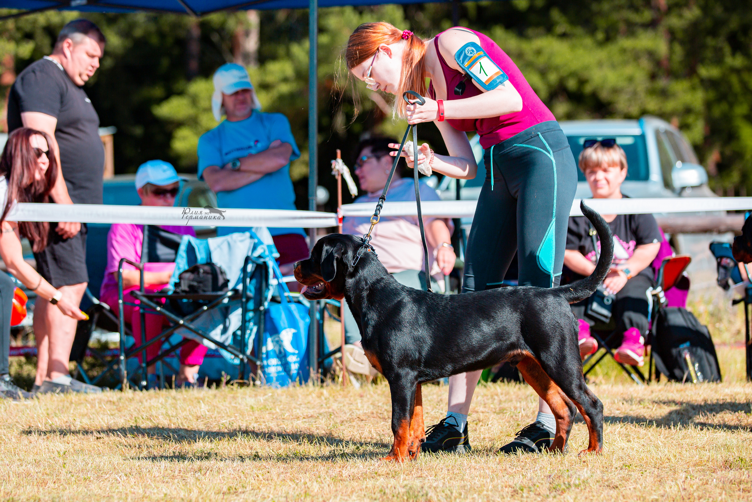 Тверь моно ротвейлеров 2-3.07.2022. Фотограф-анималист Юлия Германика