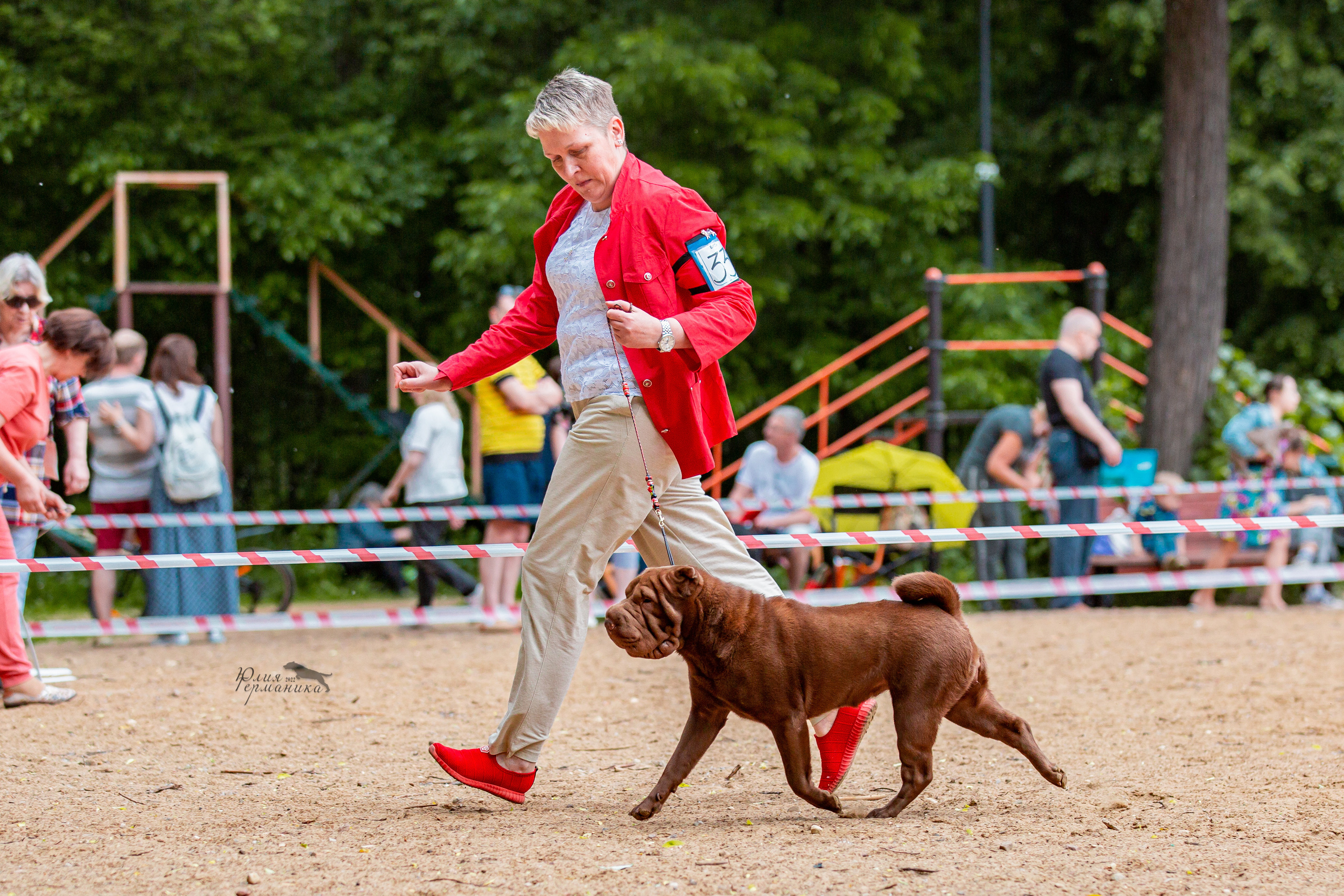 Смоленск 12.06,   Ховрино 13.06,    Питер 18.06 2022. Фотограф-анималист Юлия Германика