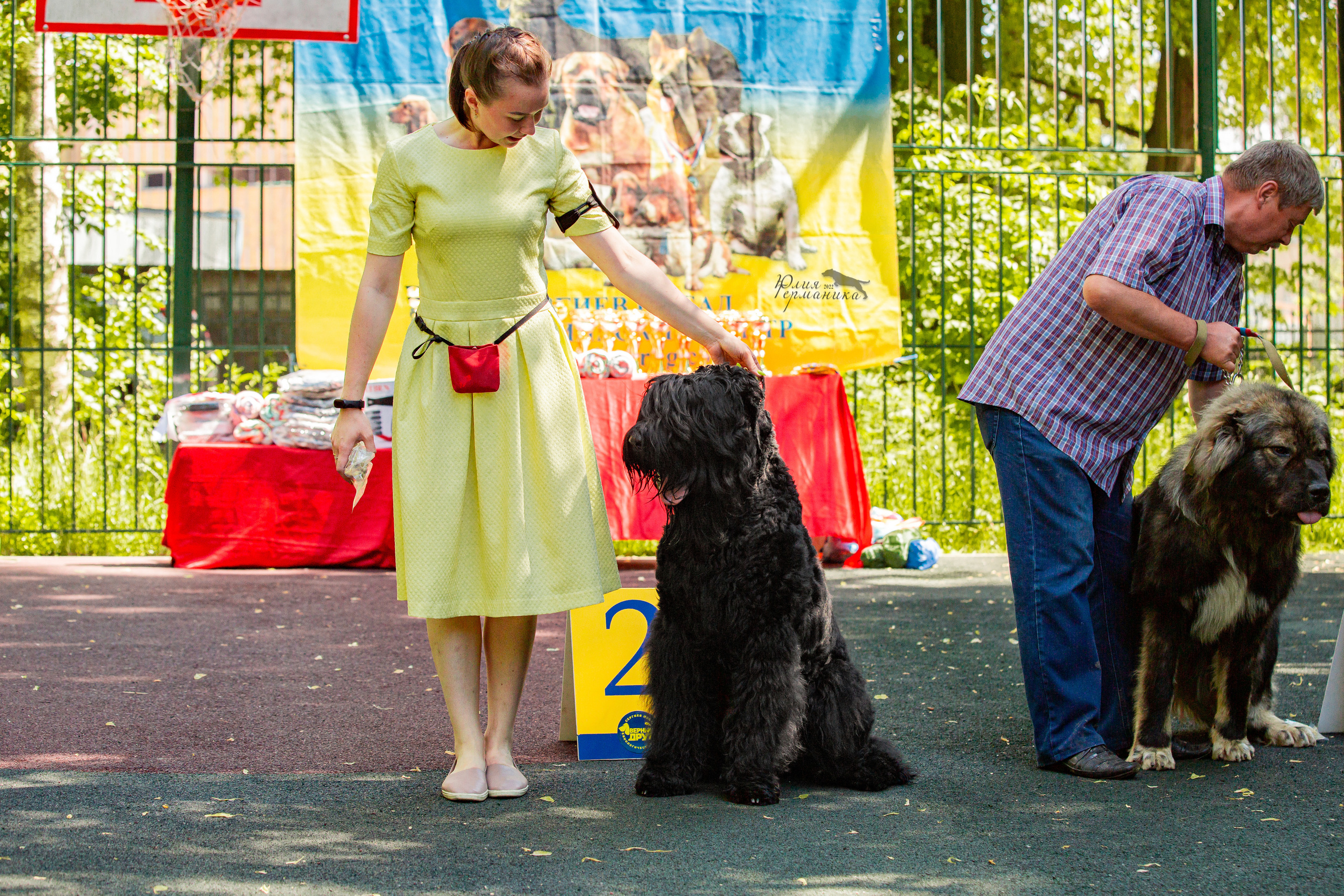Сергиев Посад 2хСАС 25.06.2022. Фотограф-анималист Юлия Германика