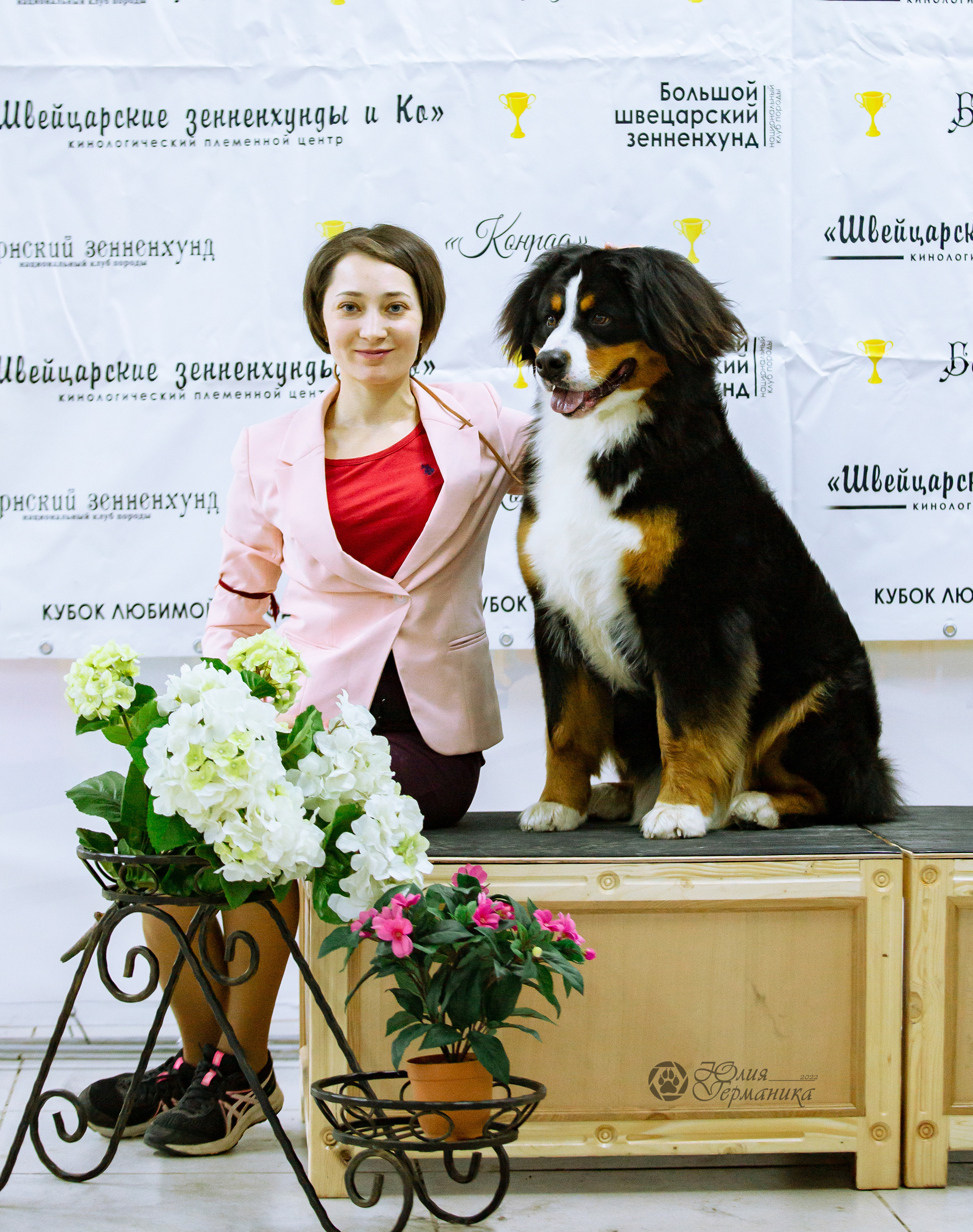 Чайна-Таун 16-17 апреля 2022. Фотограф-анималист Юлия Германика