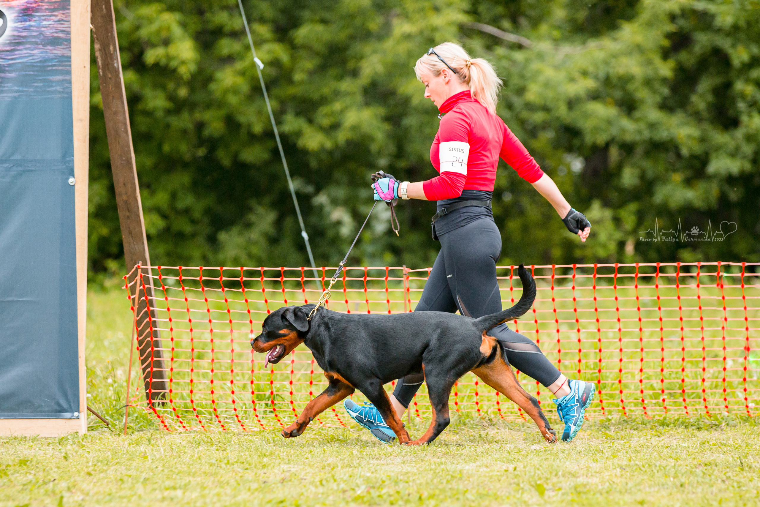 Санкт-Петербург моно ротвейлеров 23.07.2022. Фотограф-анималист Юлия Германика
