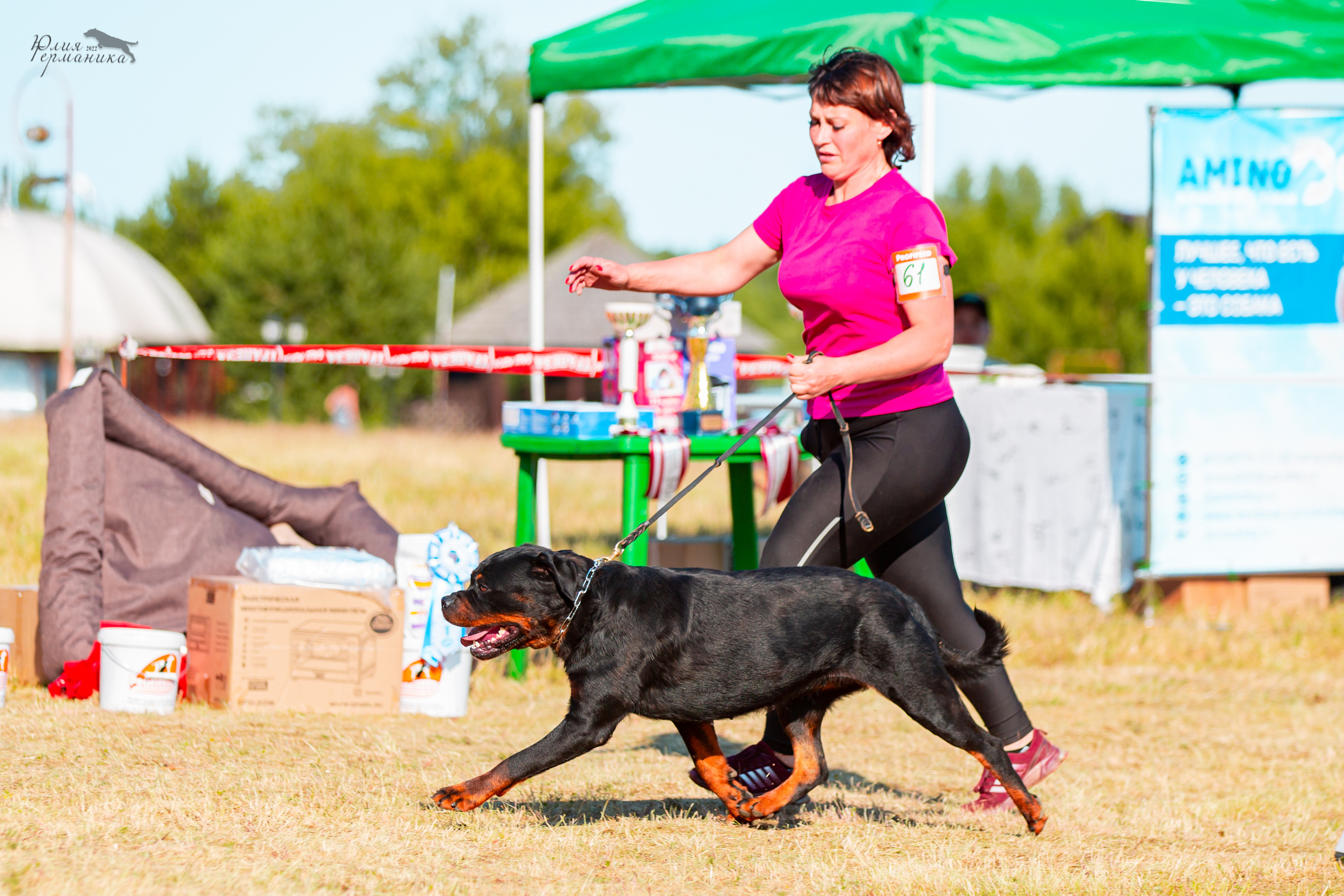 Тверь моно ротвейлеров 2-3.07.2022. Фотограф-анималист Юлия Германика