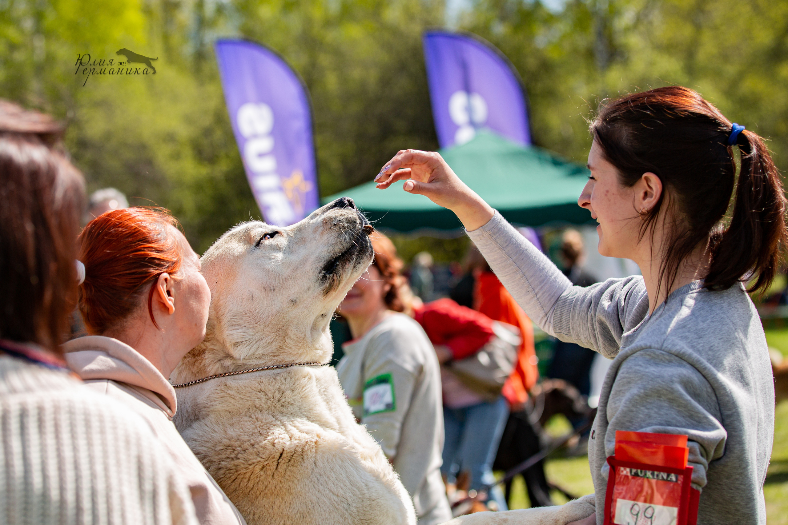 Пушкино 2хЧРКФ 14 мая 2022. Фотограф-анималист Юлия Германика