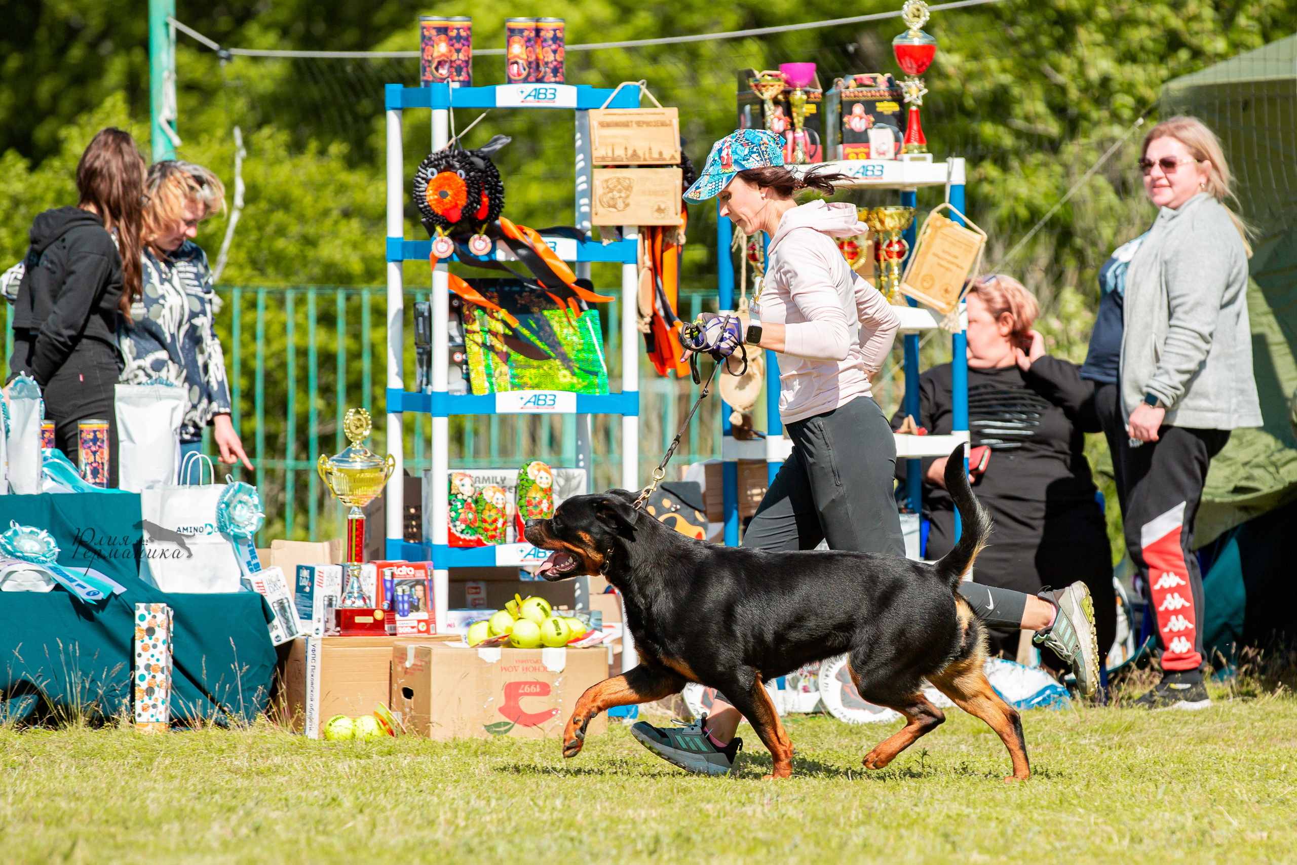 Воронеж моно ротвейлеров 28-29 мая 2022. Фотограф-анималист Юлия Германика