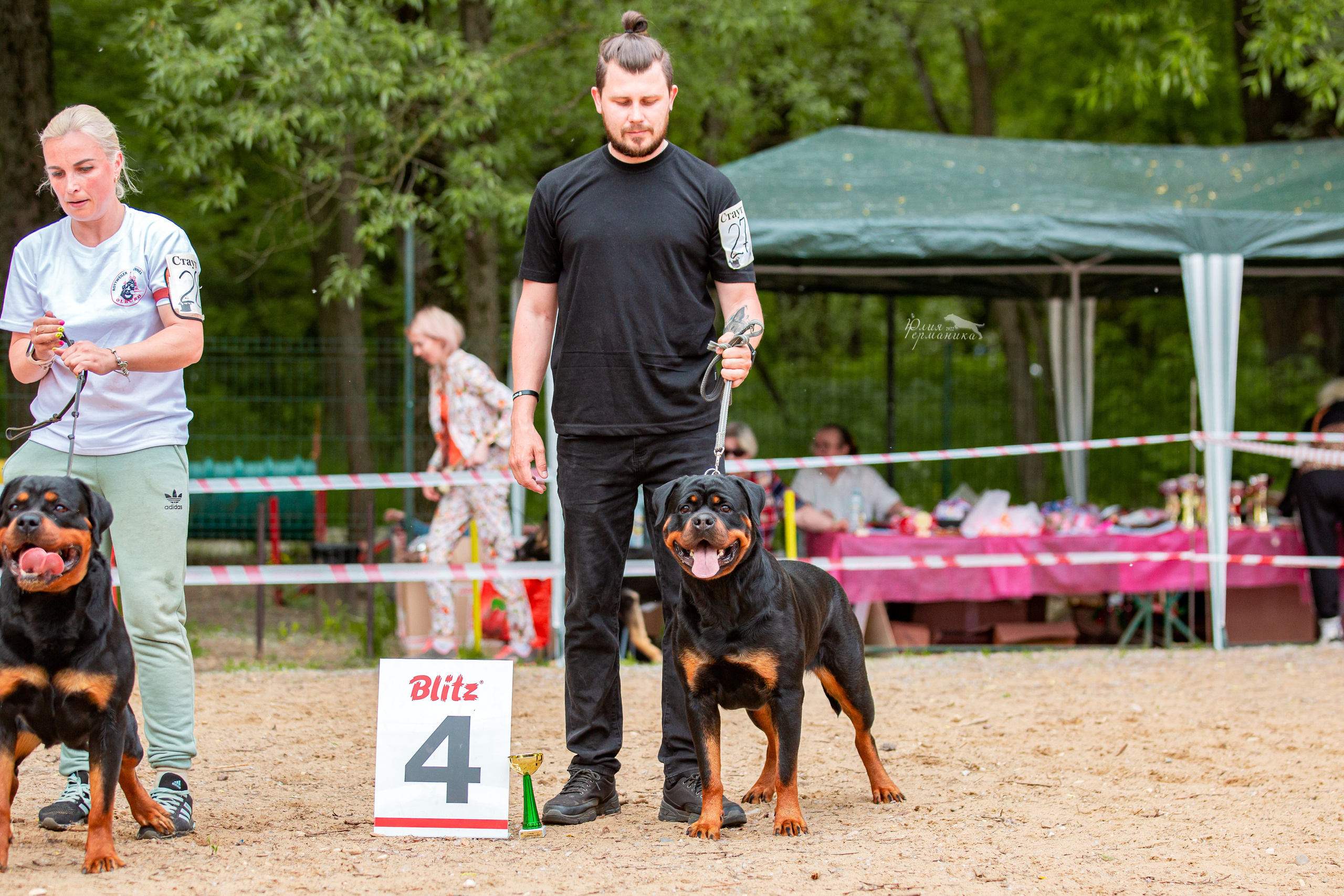 Смоленск 12.06,   Ховрино 13.06,    Питер 18.06 2022. Фотограф-анималист Юлия Германика